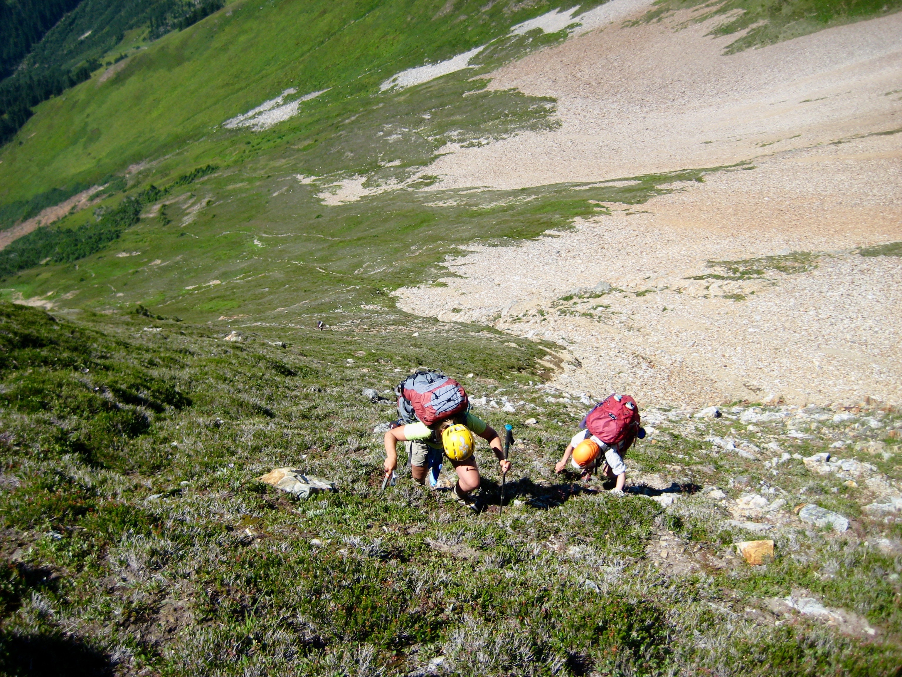 mountain climbers using ice axes to accessed steep heather slopes leading to Mixup Ridge in North Cascades National Park