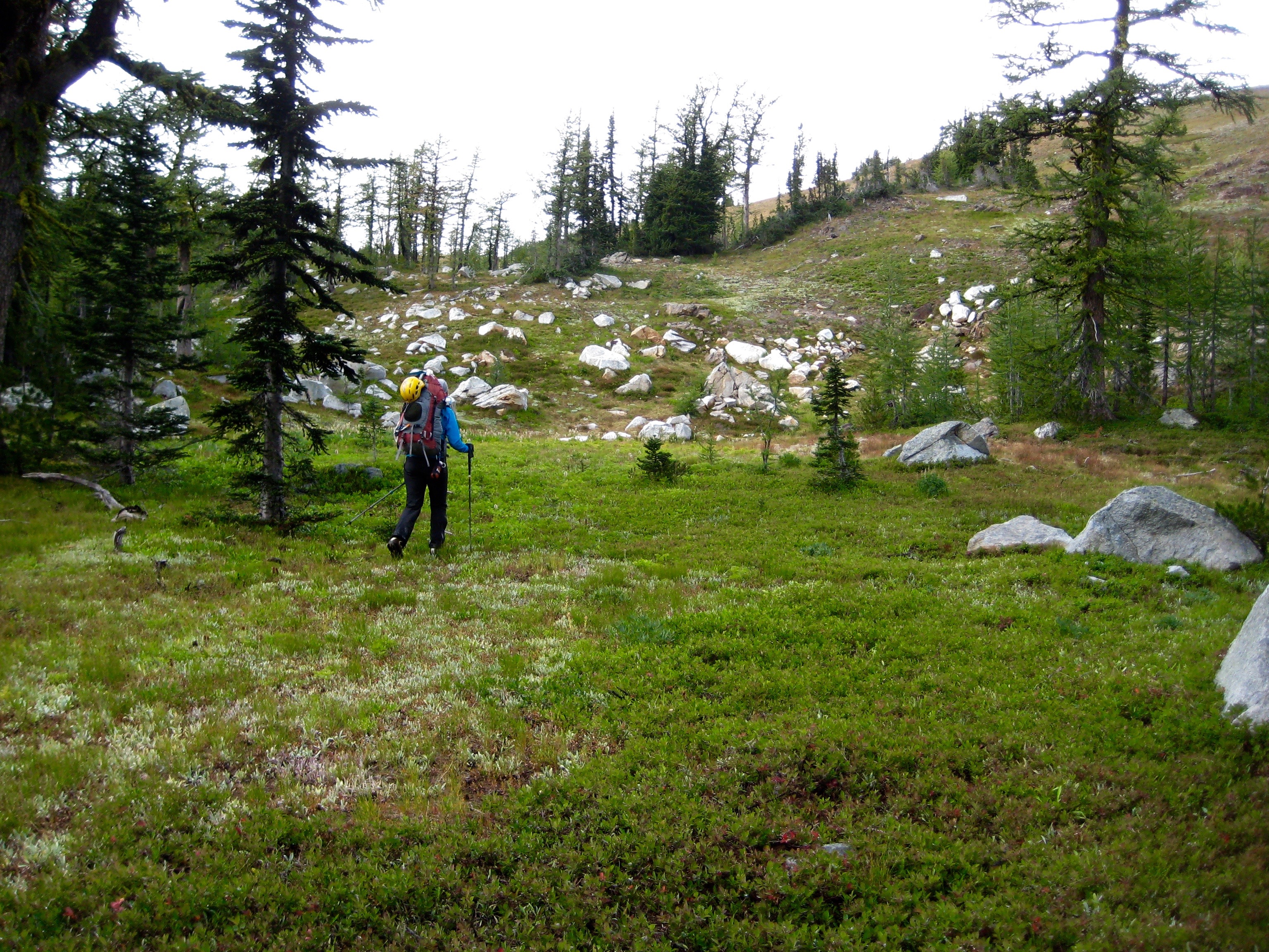 mountain climber hiking through green meadows high along the Chiwaukum Traverse in the Alpine Lakes Wilderness