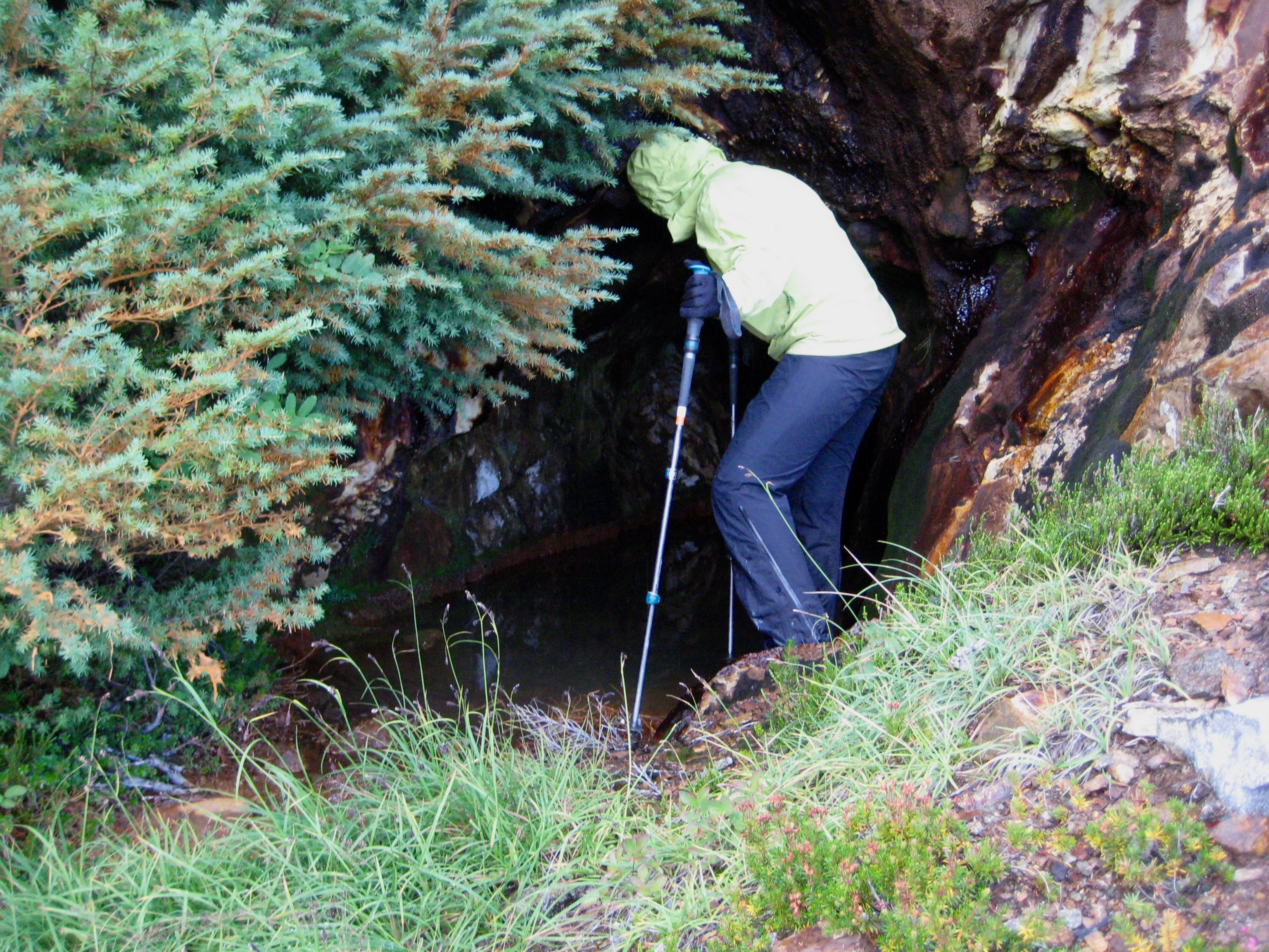 mountain climber looking down Ewing Mine in the Chiwaukum Mountains with grass in the foreground and evergreen trees in the Alpine Lakes Wilderness