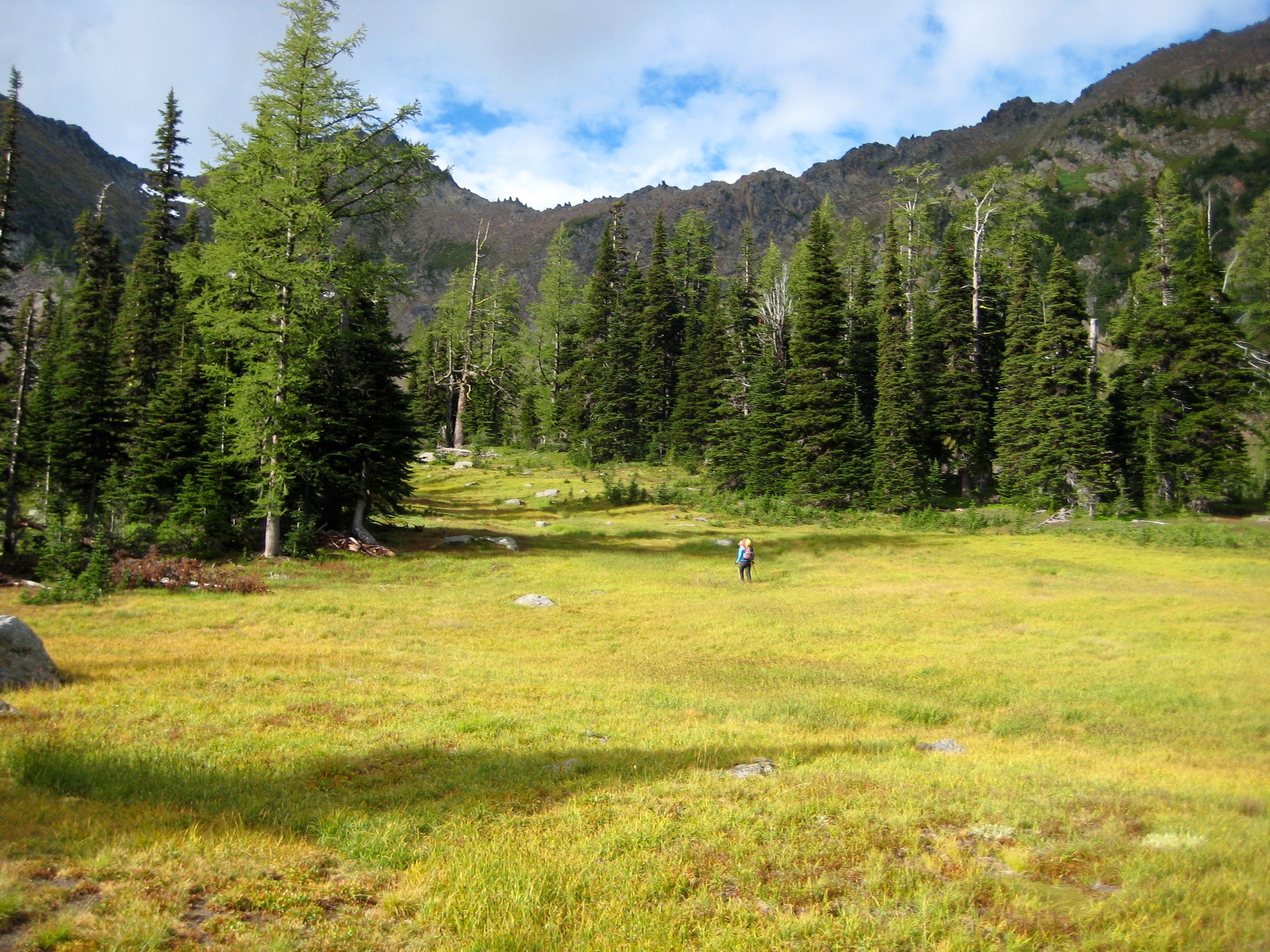 mountain climber hiking across fall colored grass into evergreen trees along the Chiwaukum Traverse