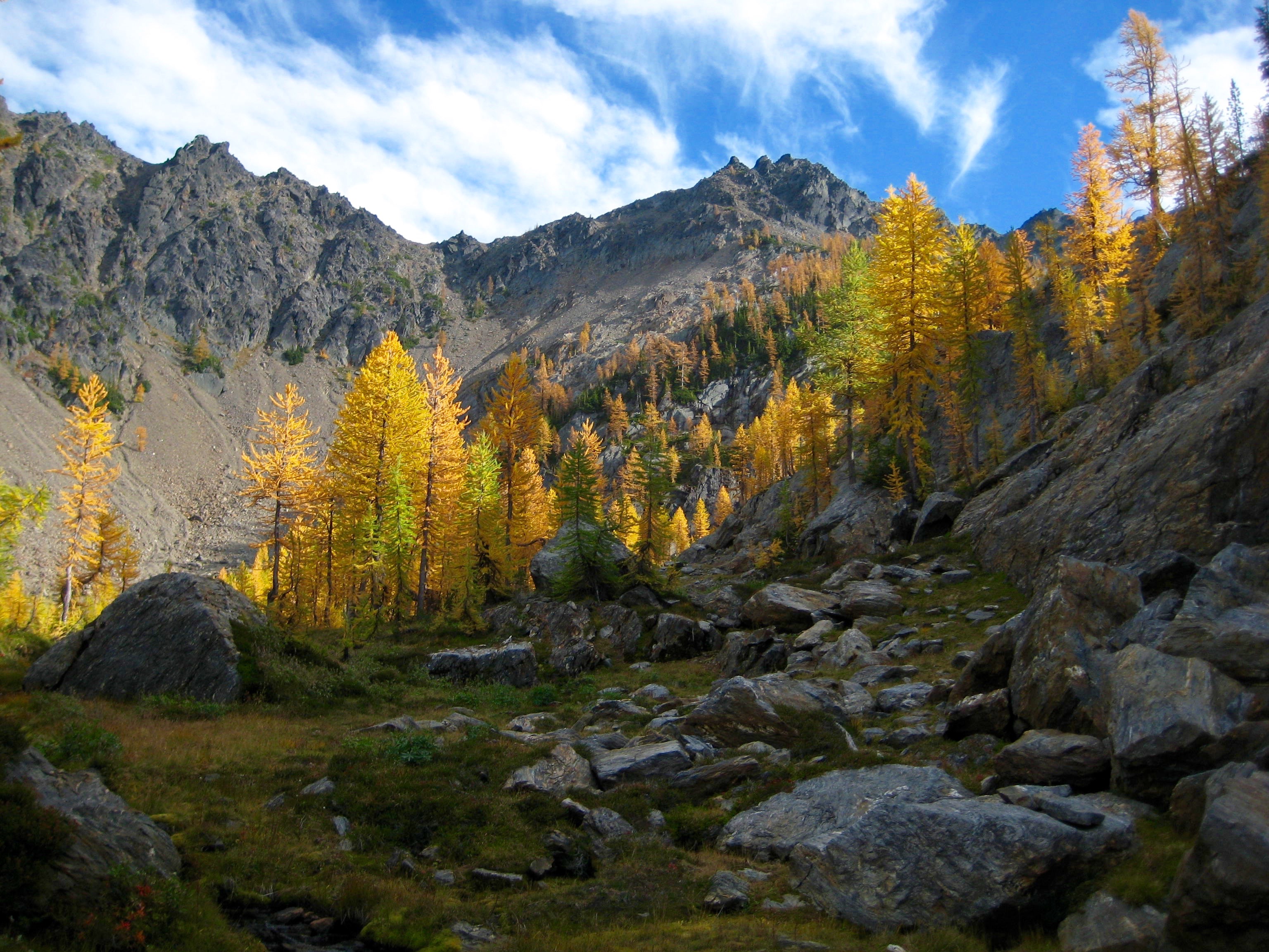 Golden larch trees decorate Larch Lake basin below McWaukum Pass during the Deadhorse Traverse in the Chiwaukum Mountains
