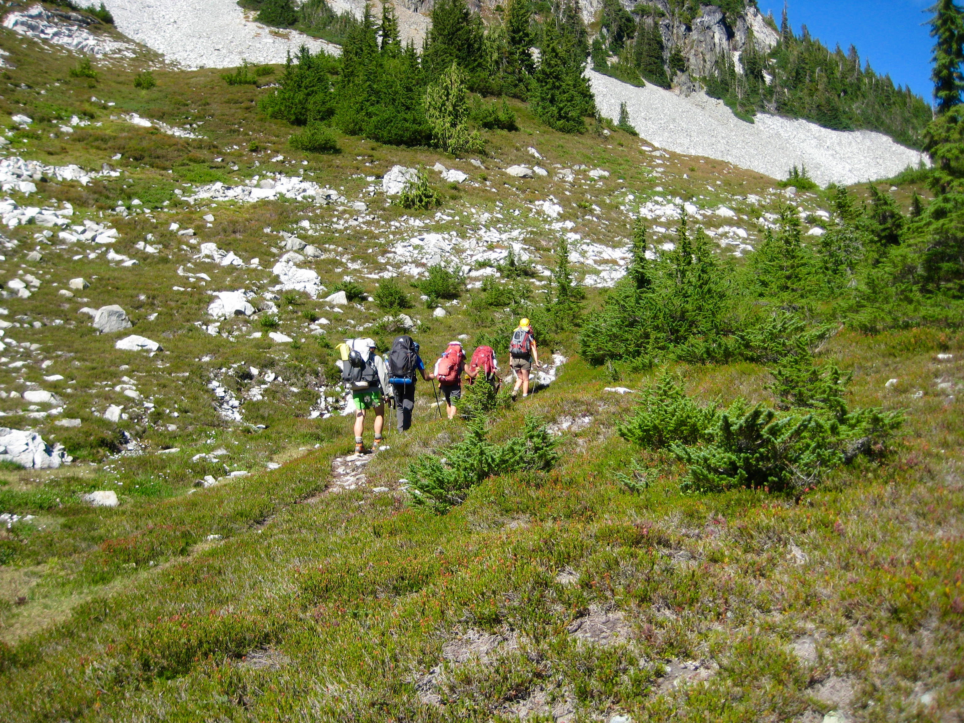 mountain climbers hiking trail to Whatcom Pass with grass tundra and boulder field in the American Chilliwack Mountains