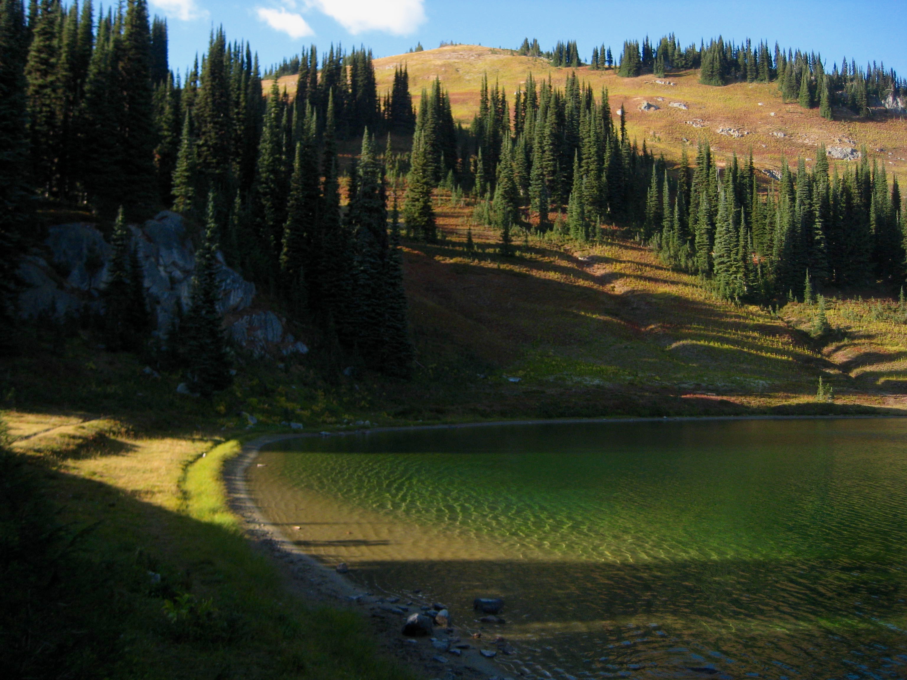 Image Lake shore with fall colors in the background 