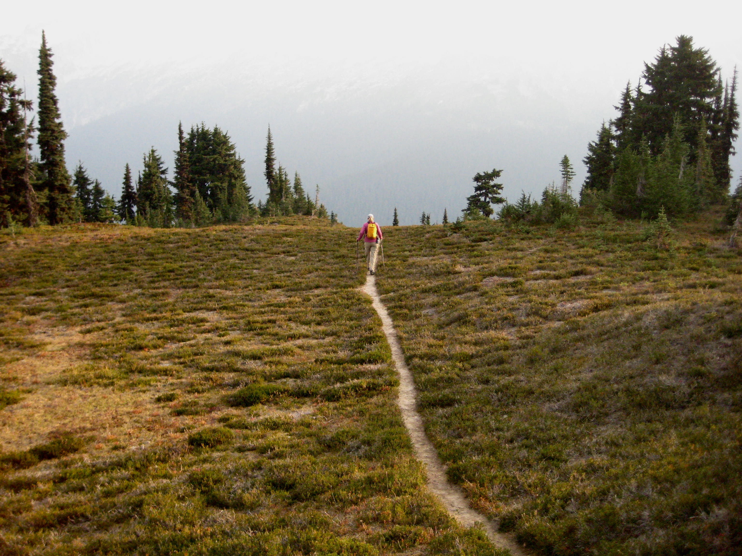 mountain climber hiking Canyon Lakes Trail with fall colors 