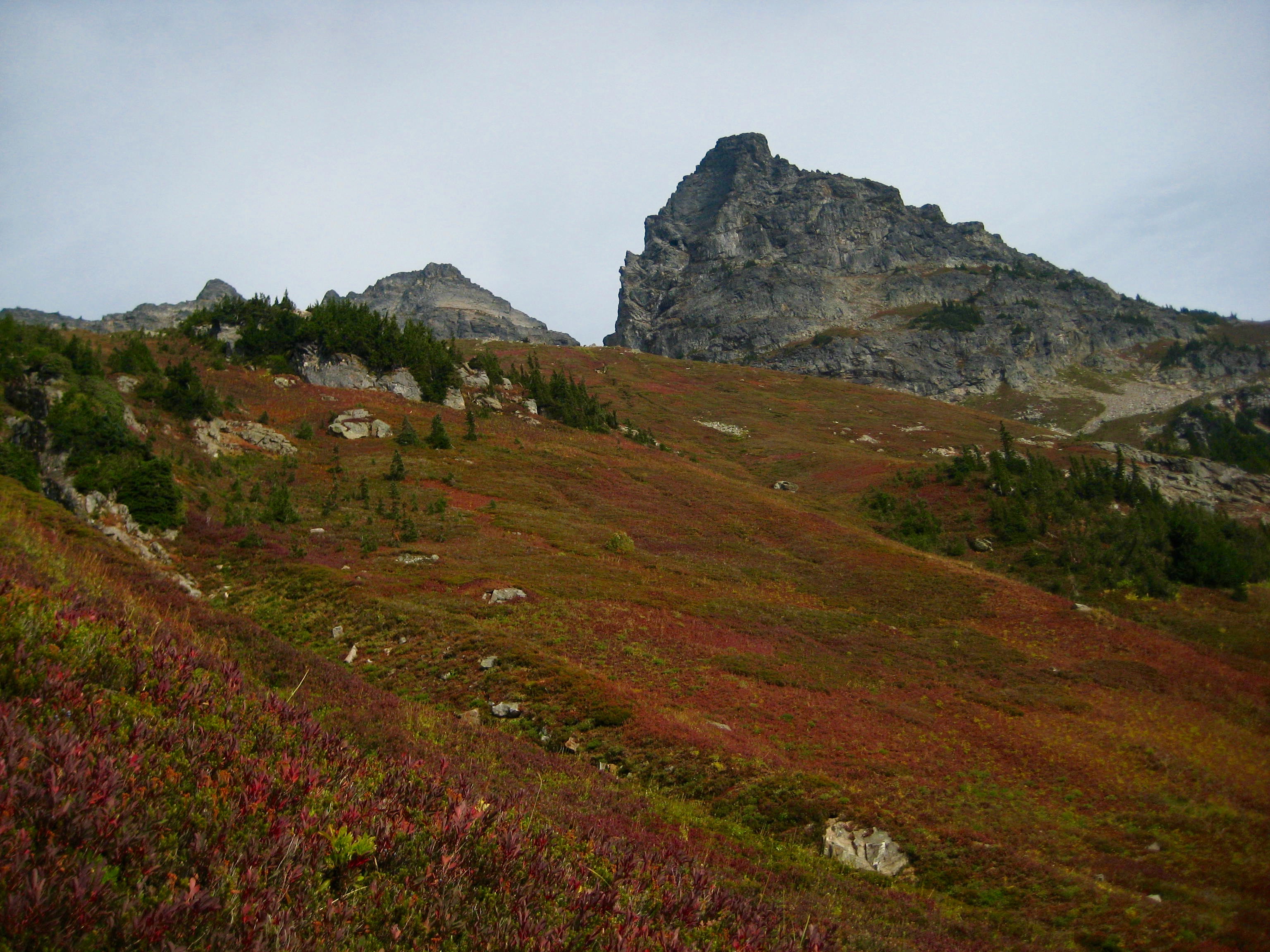 rocky summit of Sitting Bull Mountain above fall colored heather slope in the Glacier Peak Wilderness