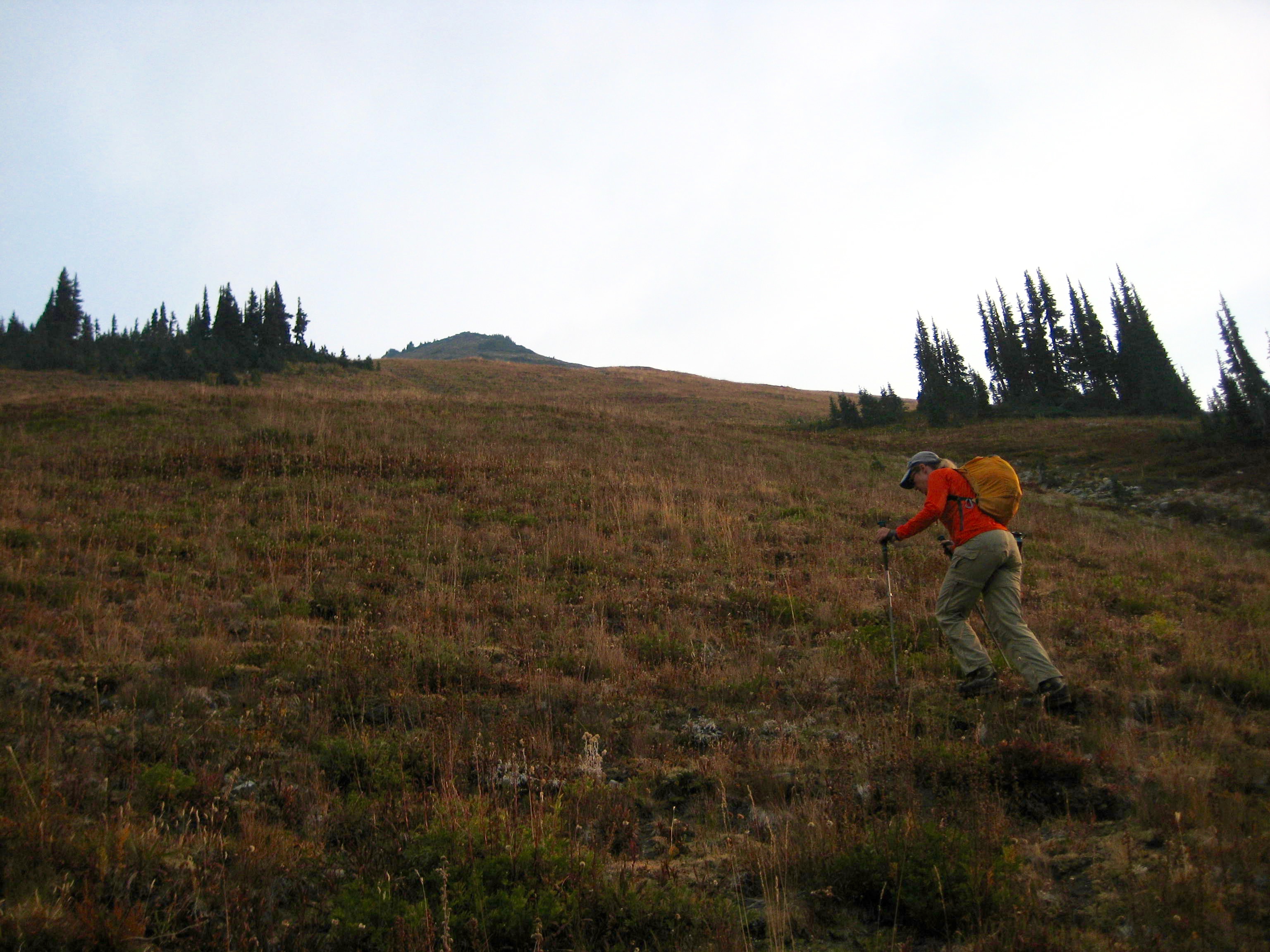 mountain climber hiking up the grassy slopes of Plummer Mountain in the Glacier Peak WIlderness