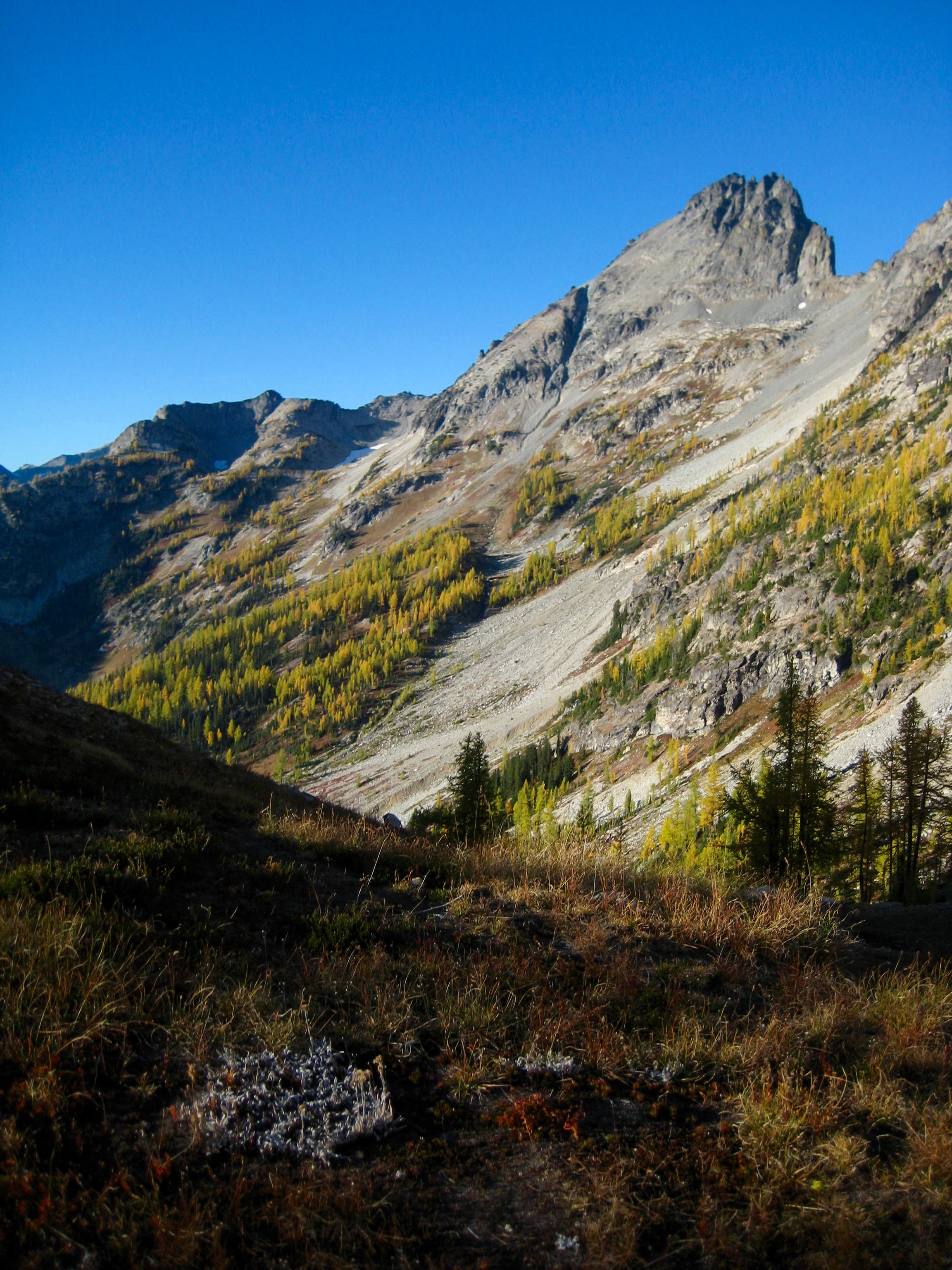 Seven-Fingered Jack with fall grasses and golden larch trees as seen from Leroy Pass in the Entiat Mountains