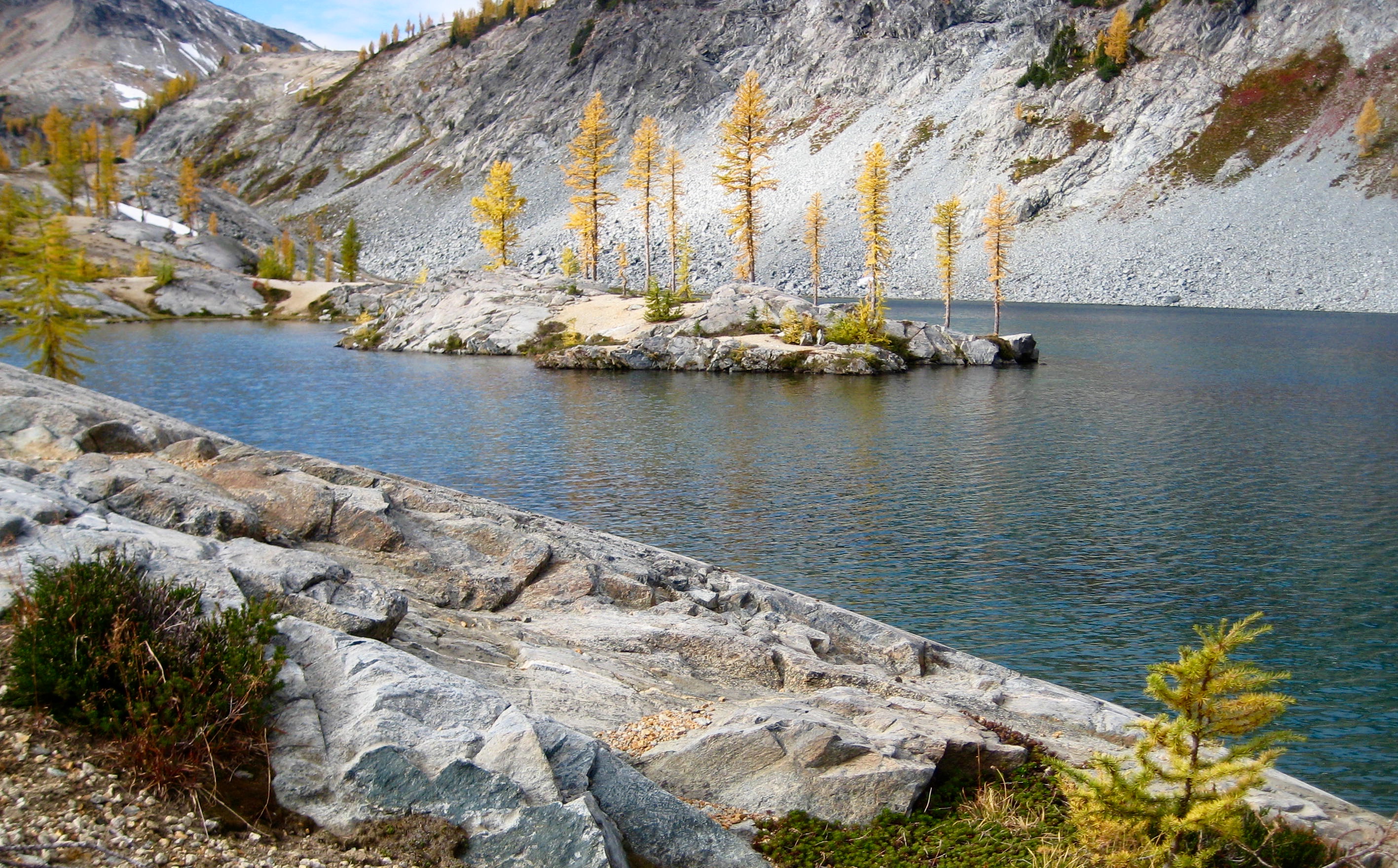 Island of Golden Larch Trees in the middle of Lower Ice Lakes in the Entiat Mountains