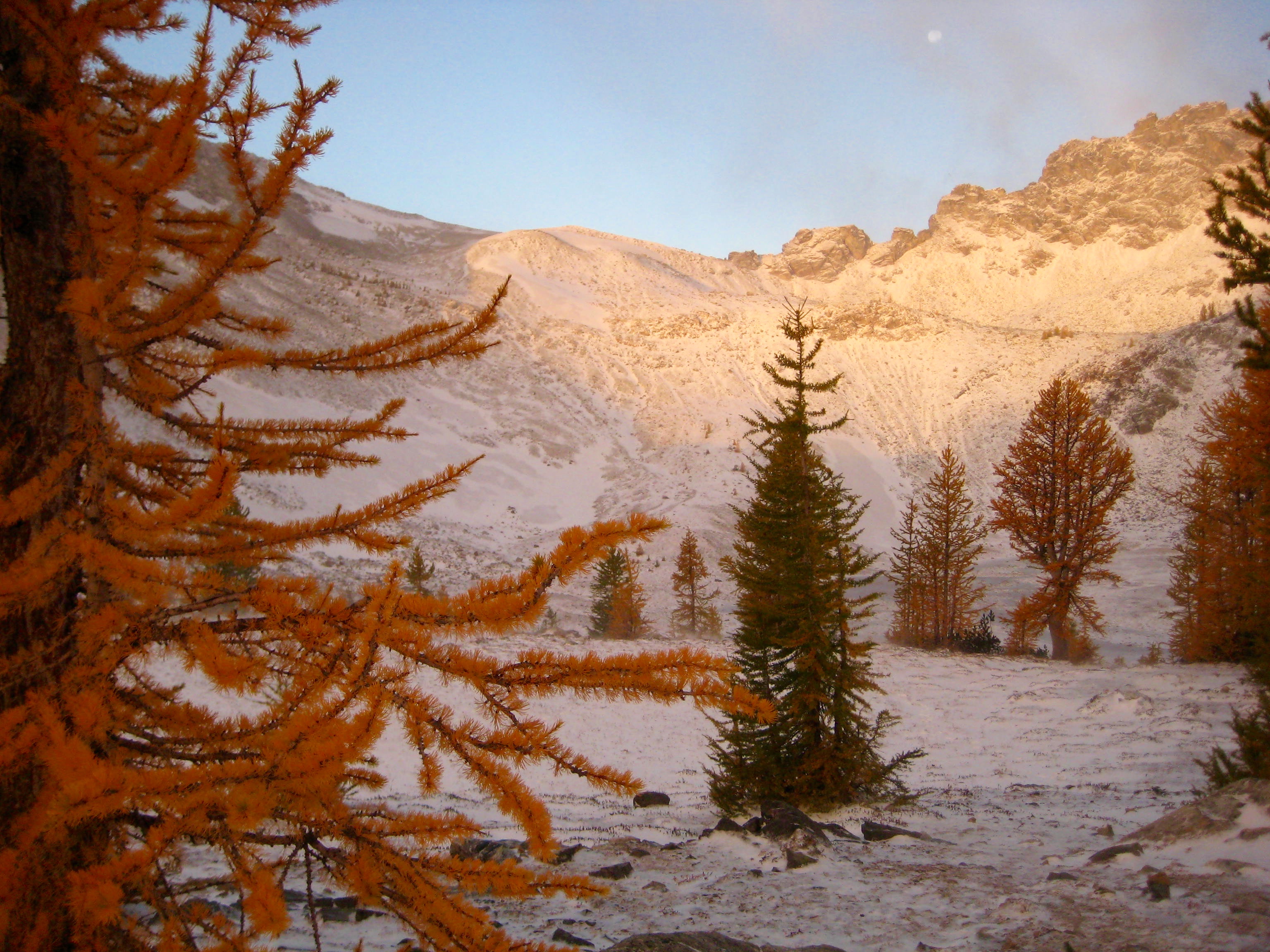 Moon over Freezer Pass with fresh snow on the rocks and golden larch trees in the Entiat Mountains