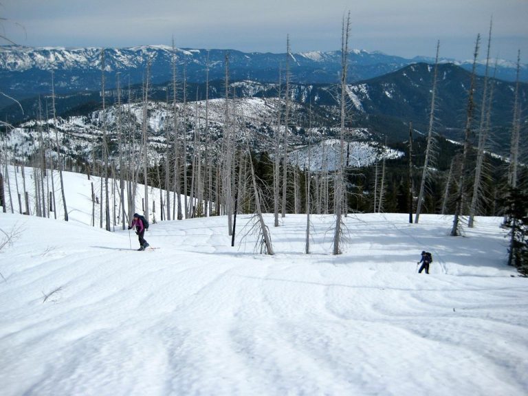 Two backcountry skiers ascend a wide open snow slope below Butcher Creek Knoll on Nason Ridge