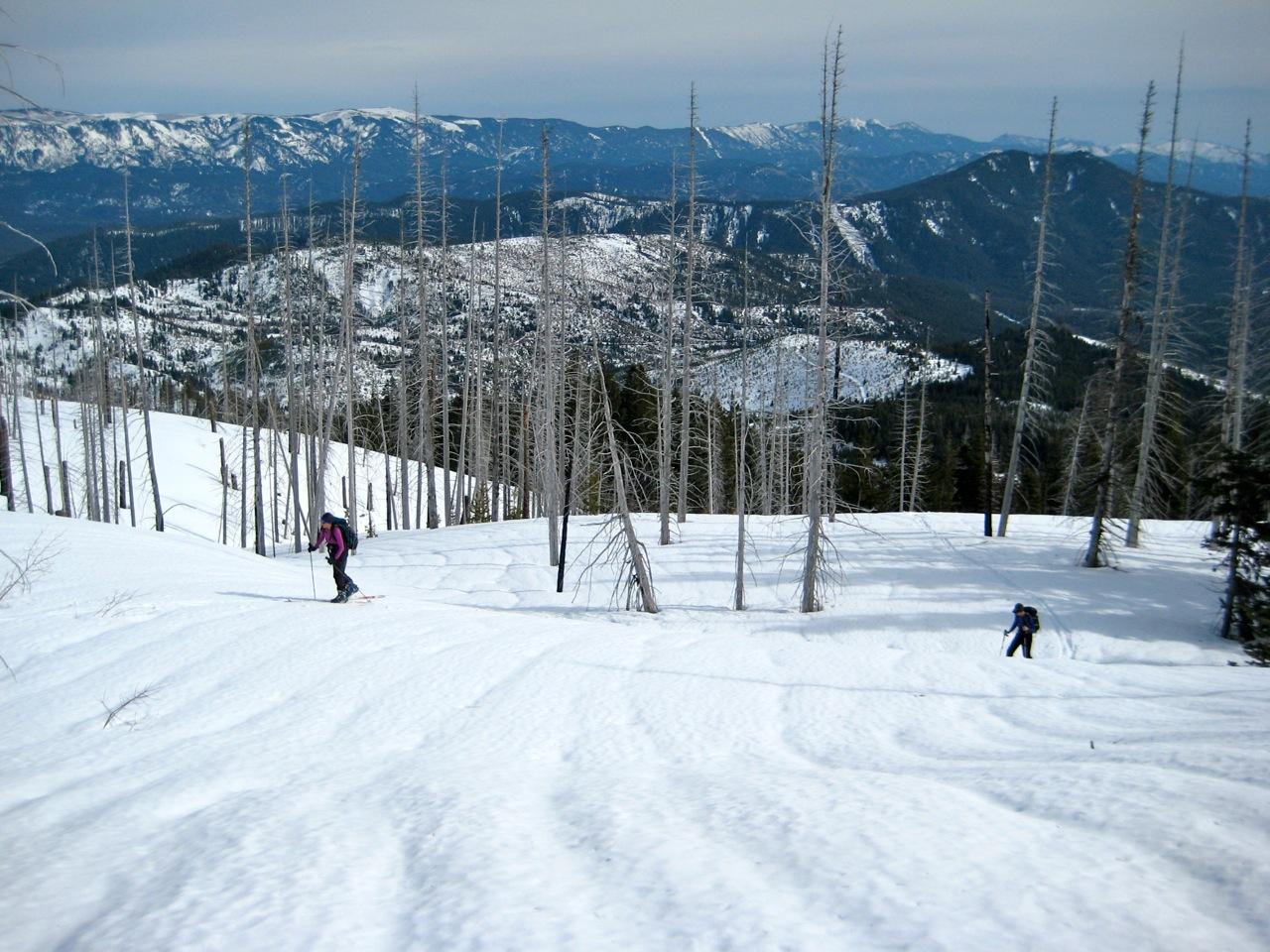 Two backcountry skiers ascend a wide open snow slope below Butcher Creek Knoll on Nason Ridge