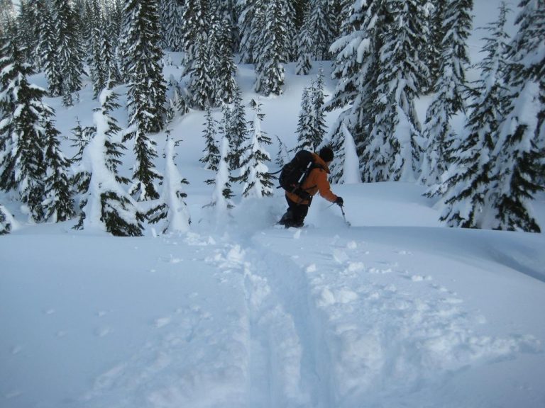 A skier carves a turn through deep powder snow during the Nason-Smith Ski Traverse