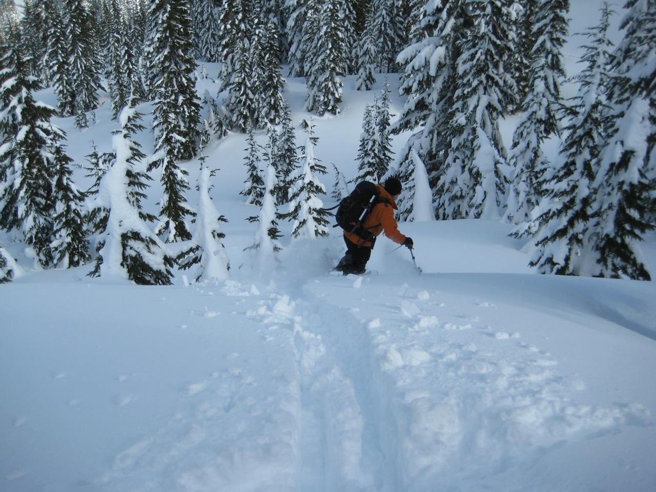 A skier carves a turn through deep powder snow during the Nason-Smith Ski Traverse