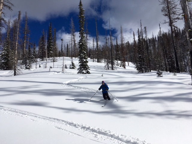 Skier making turns in a snow glade during Tronsen Head Ski Loop