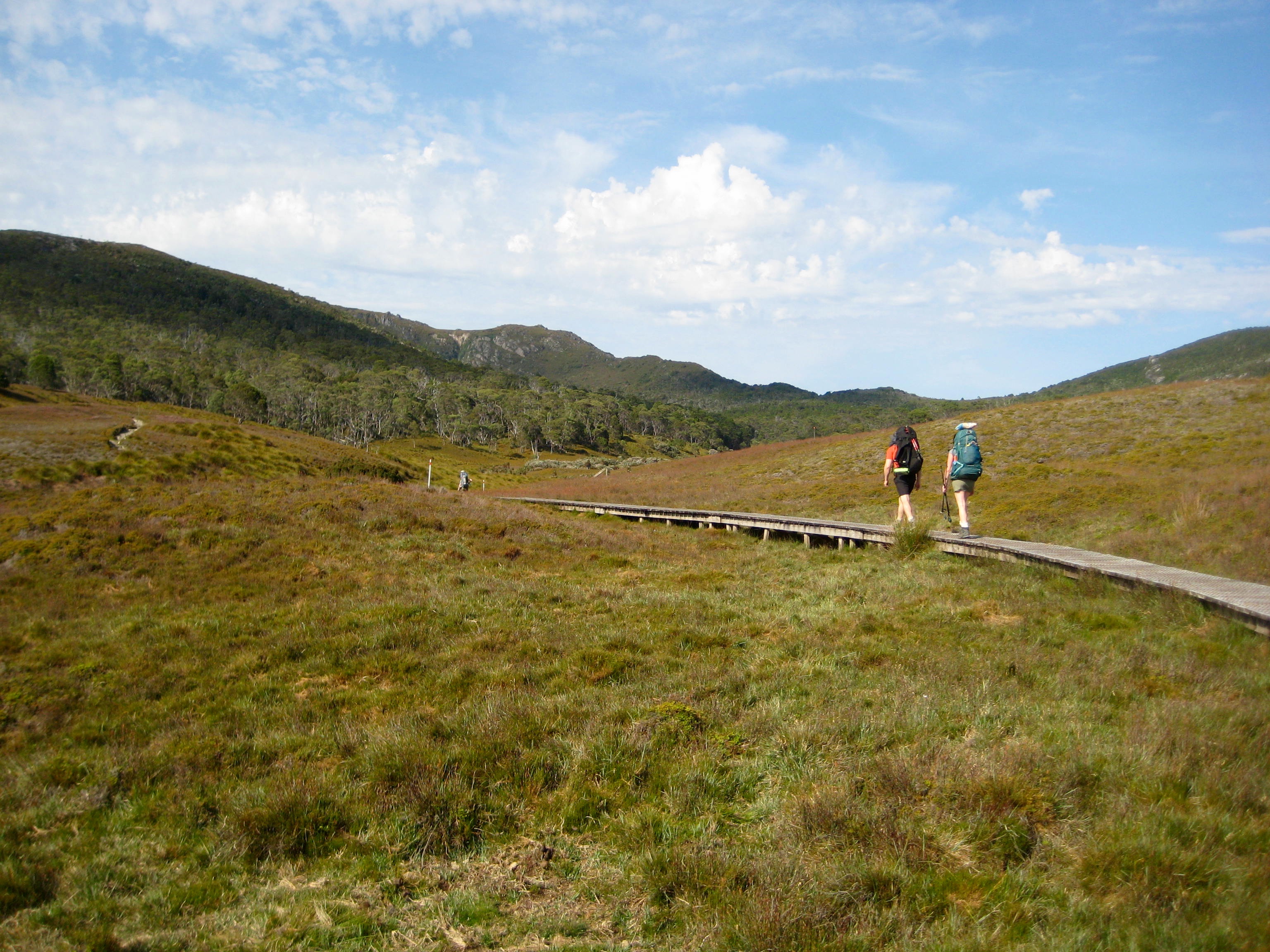 Boardwalk At Start Of Overland Track