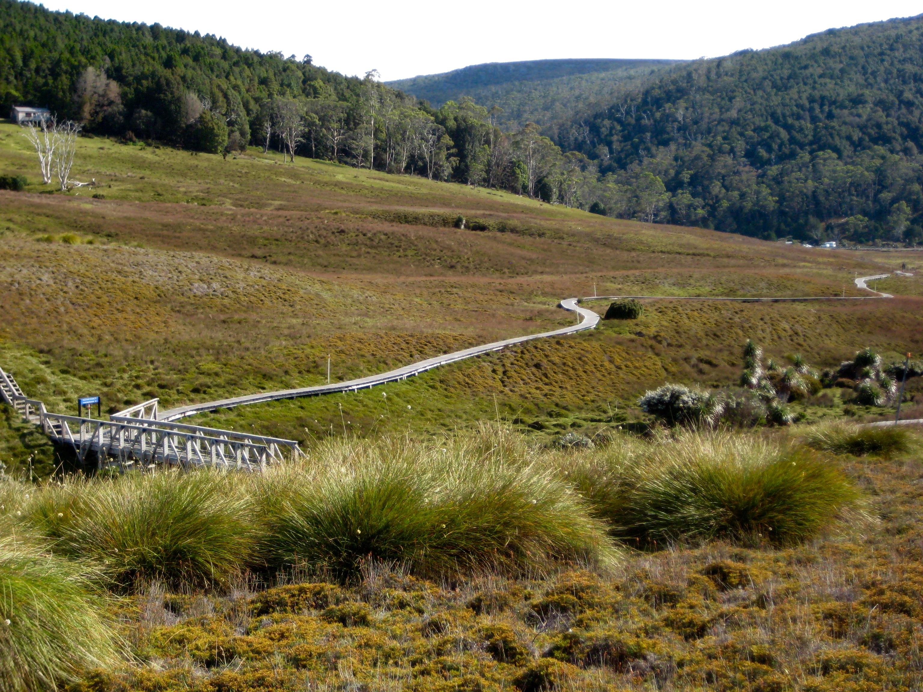 Boardwalk in a field of grasses with distant hills and bridge at Ronnie Creek Crossing at the start of the Overland Track in Tasmania