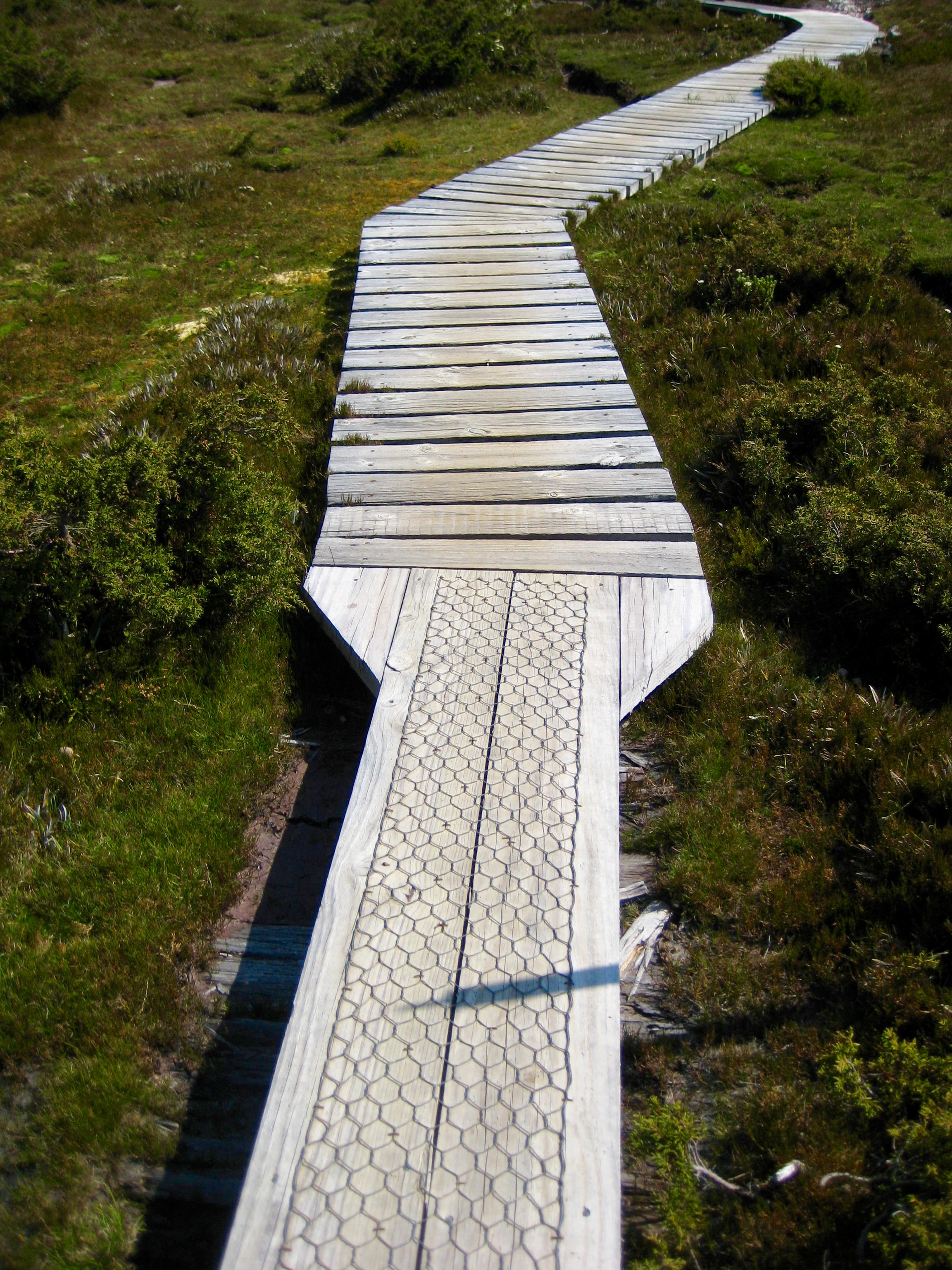 Plank To Duckboard Transition On Overland Track