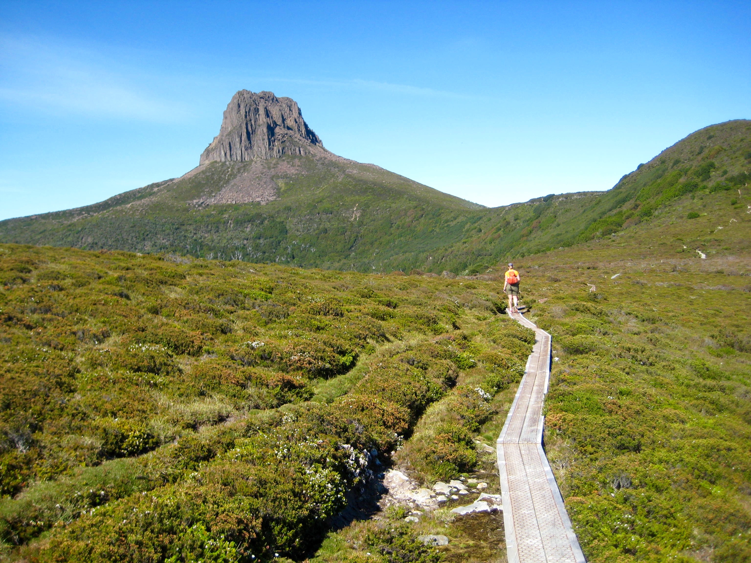 hiker Crossing Moorland on the Overland Track Toward Barn Bluff