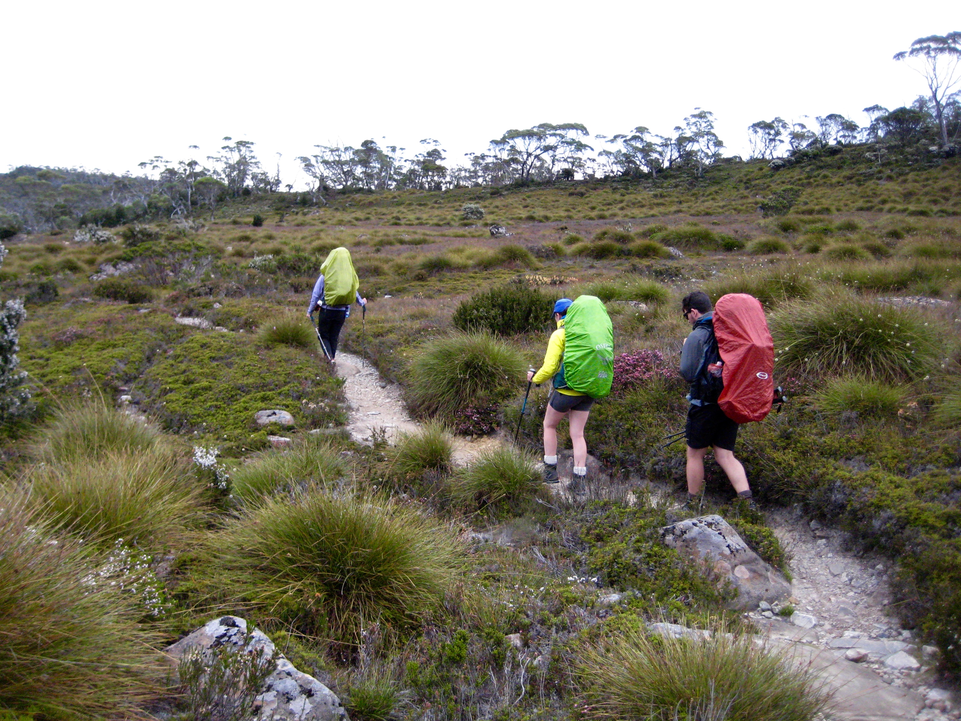 Traversing Waterfall Valley On A Rainy Afternoon