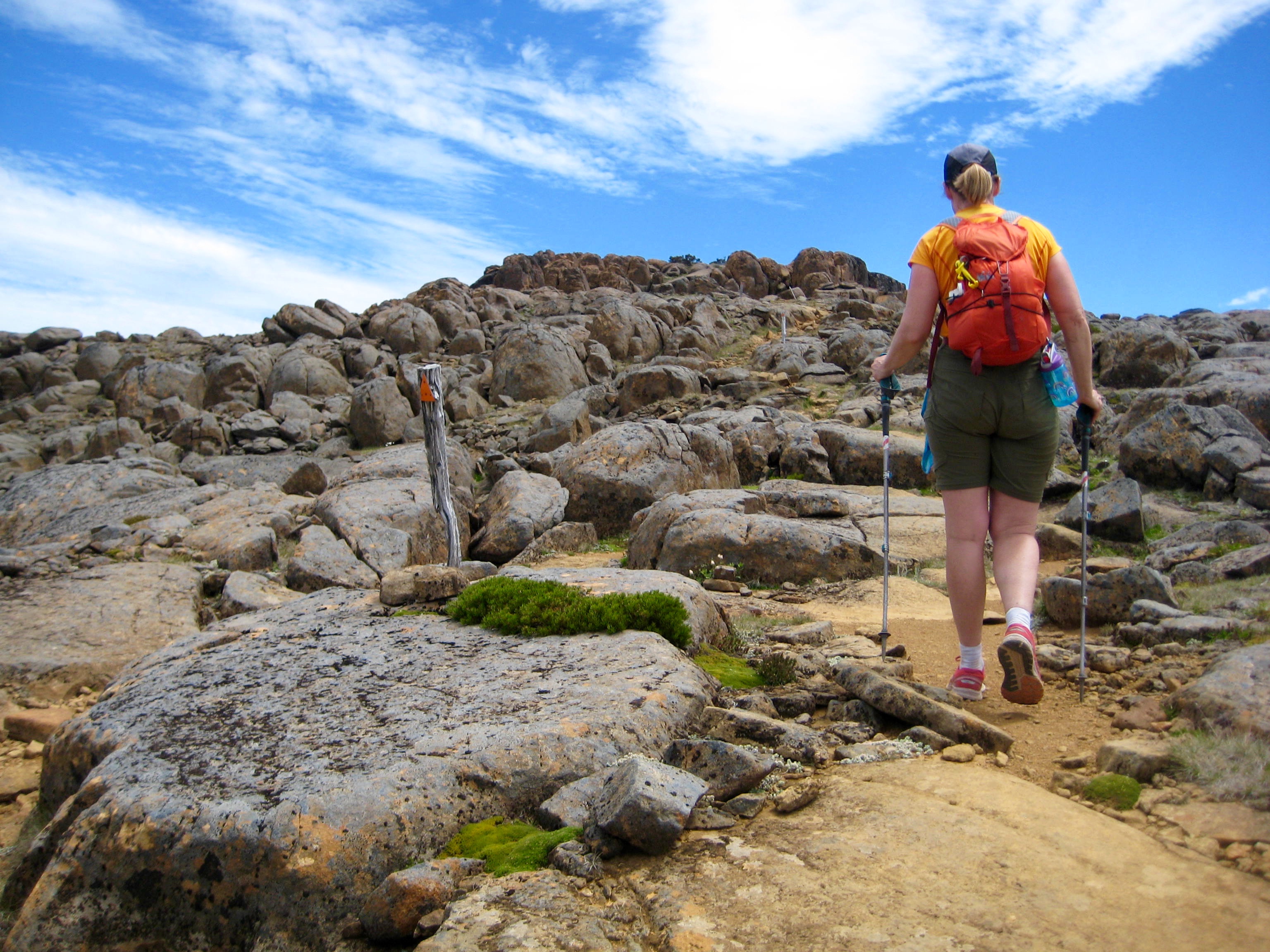 hiker on the Mt Ossa summit plateau of grass and boulders