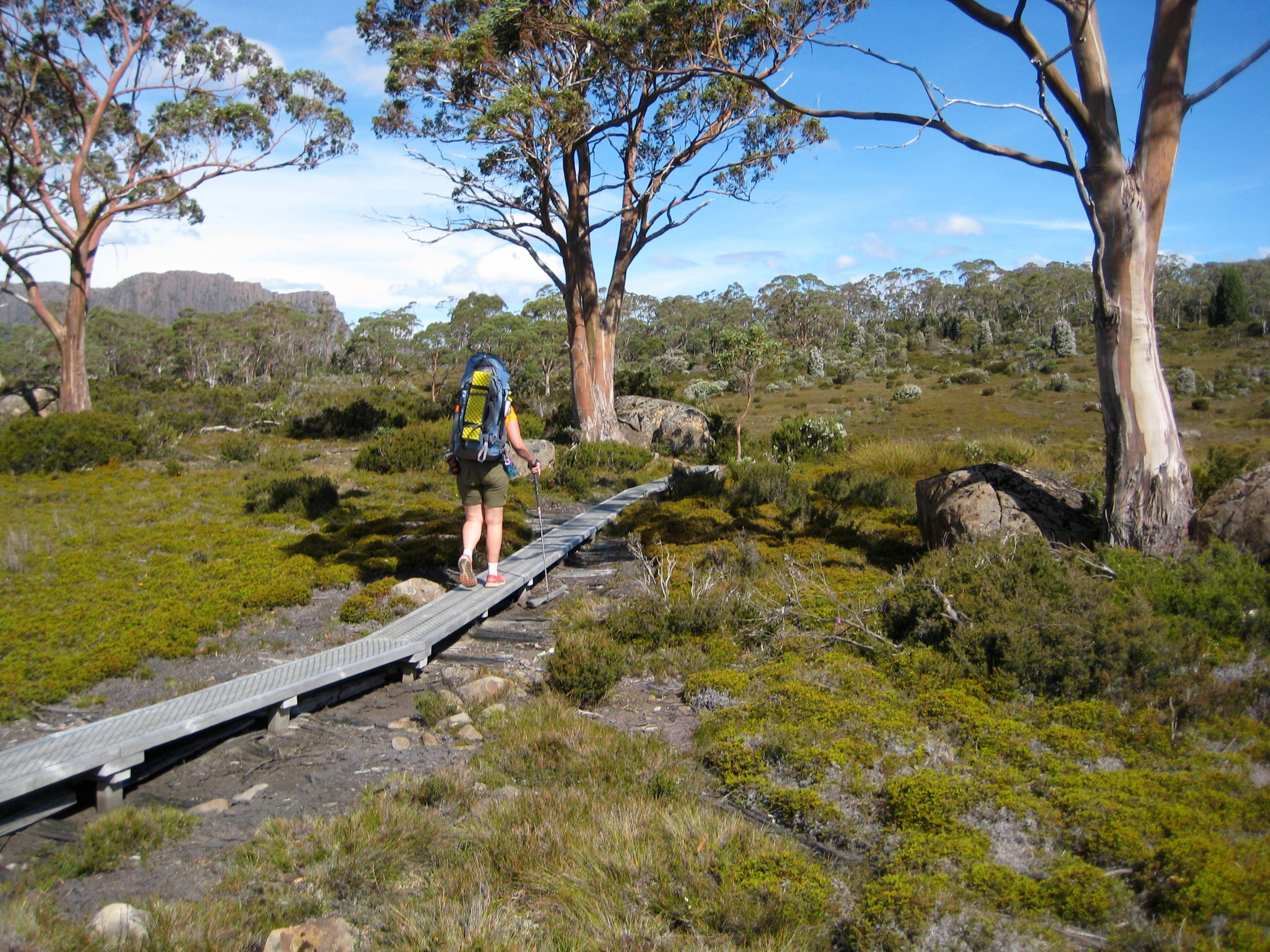 Hiking Thru Pinestone Valley with grasses and tall foliage