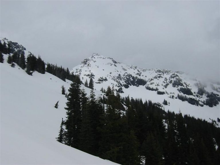 Snow slopes lead up to the east peak of Goat Mtn in the fog
