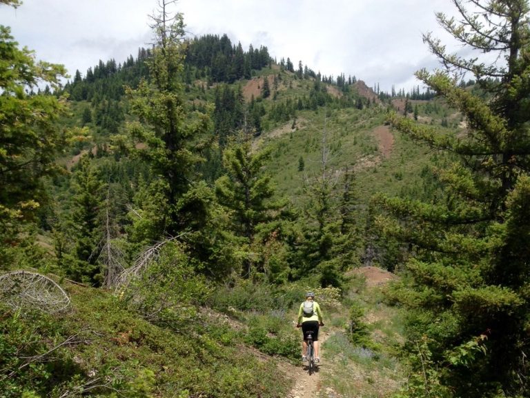 A mountain rides along wooded crest of Teanaway Ridge during bike loop