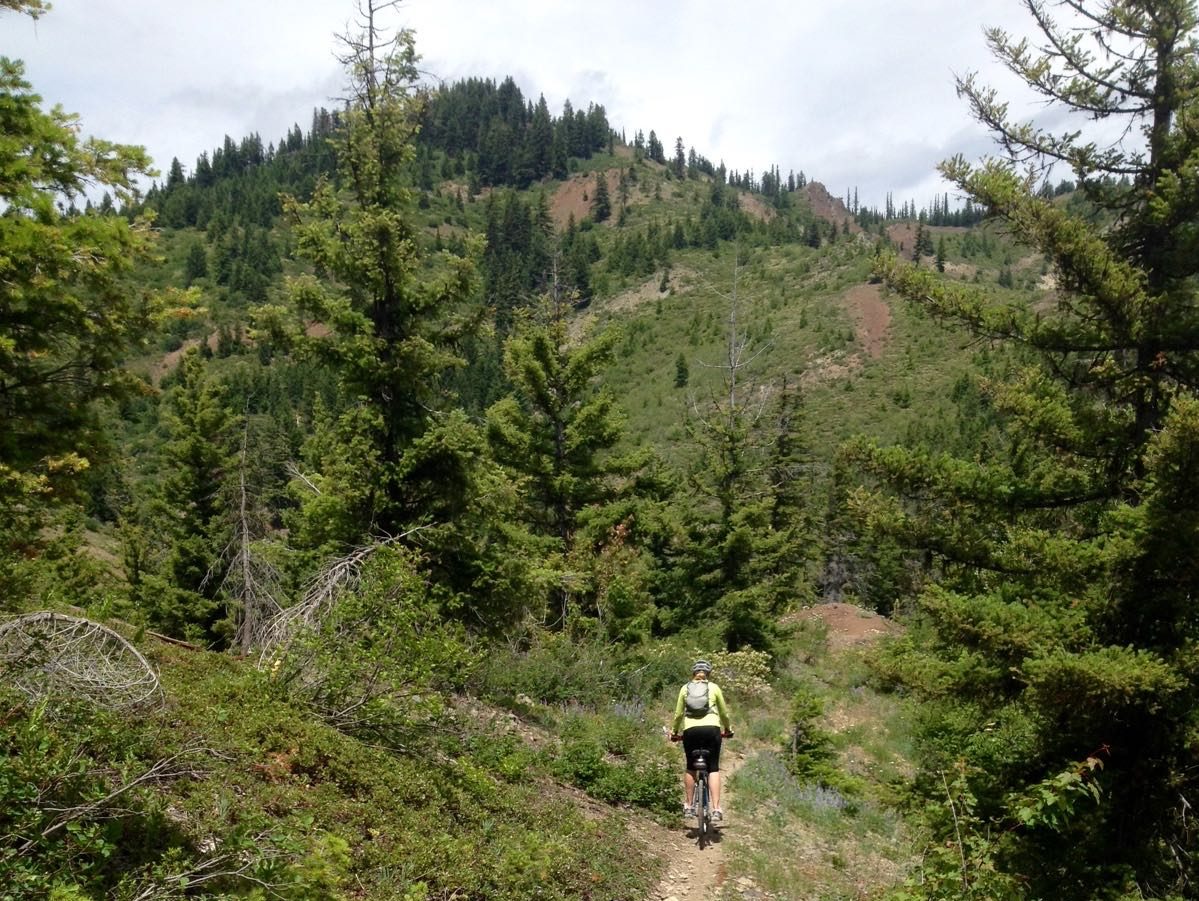 A mountain rides along wooded crest of Teanaway Ridge during bike loop