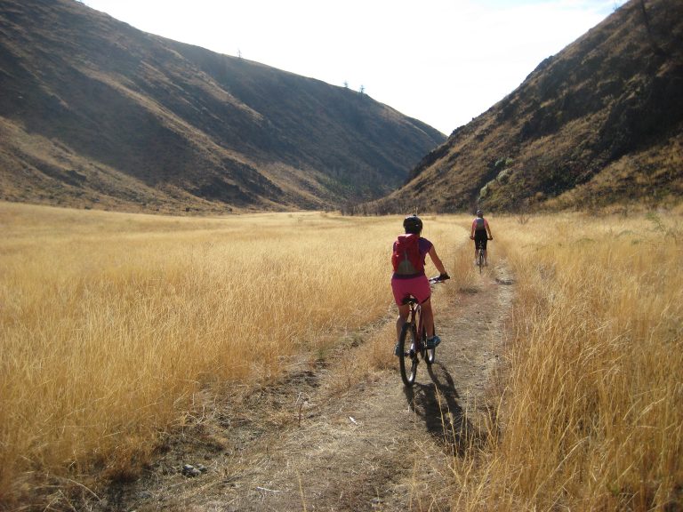 Mountain bikers ride through a wheat field on Pipestone Canyon Bike Loop
