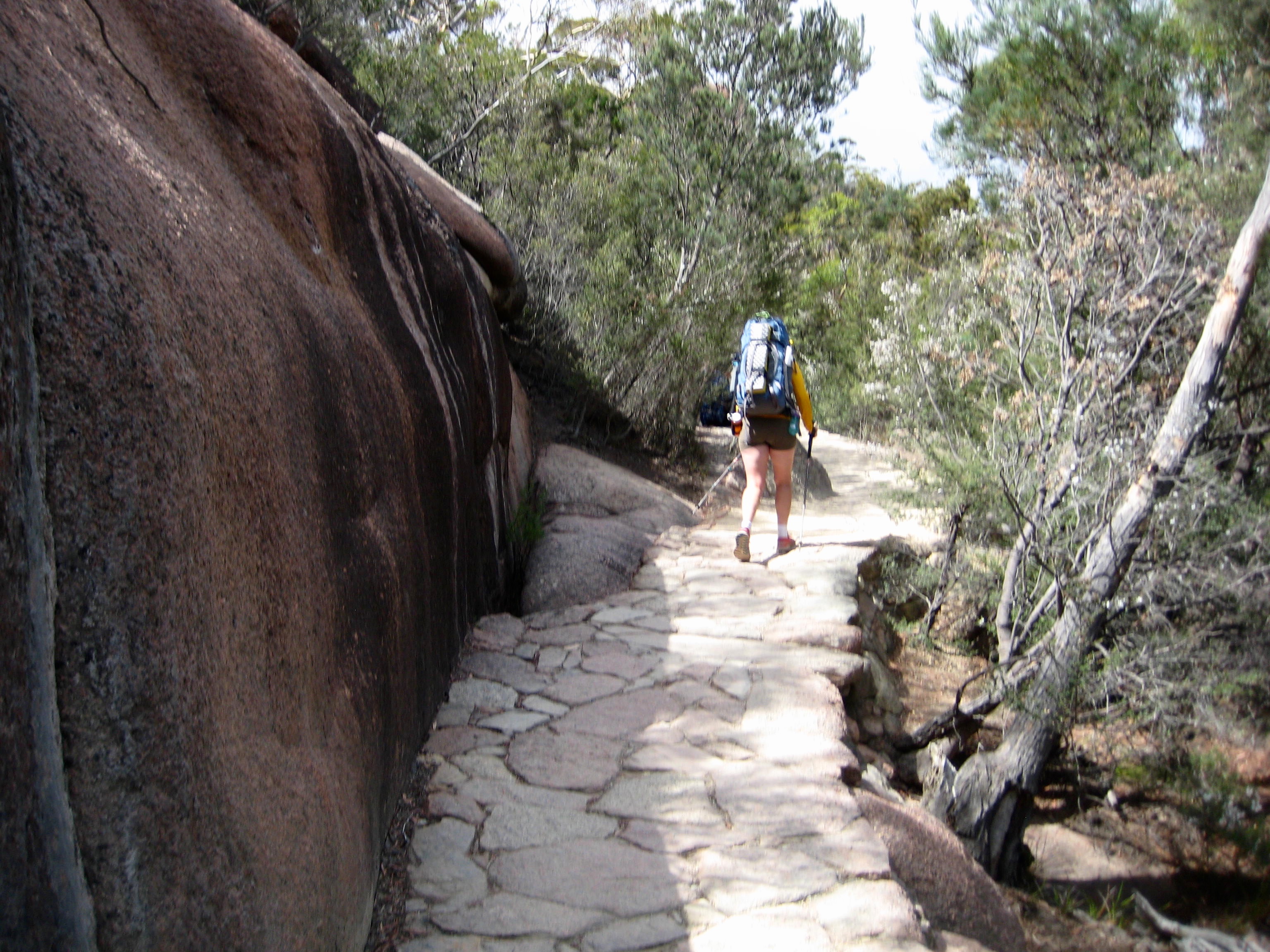 hiker hiking up paved trail with steep rock wall and trees heading to the Amos-Mayson Saddle in Tasmania's Freycinet National Park