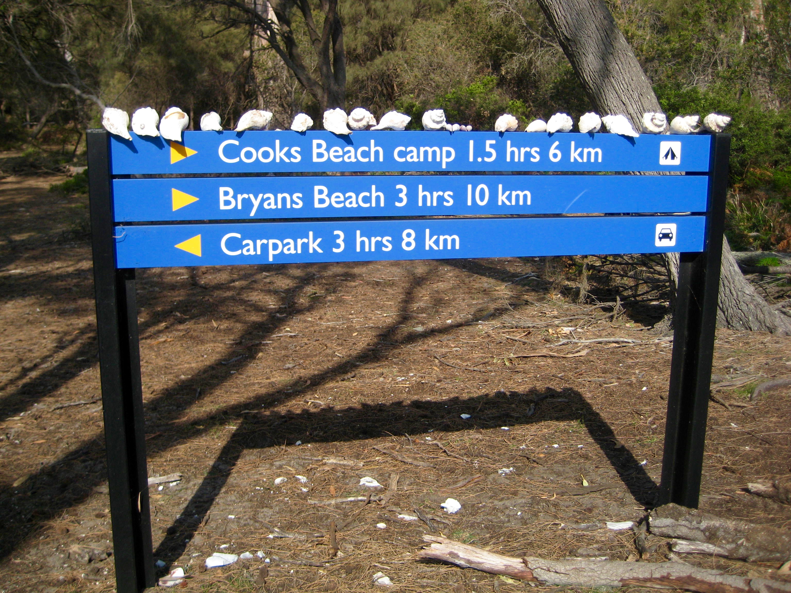 trail sign with shells on top at Hazards Beach camp in Tasmania's Freycinet National Park