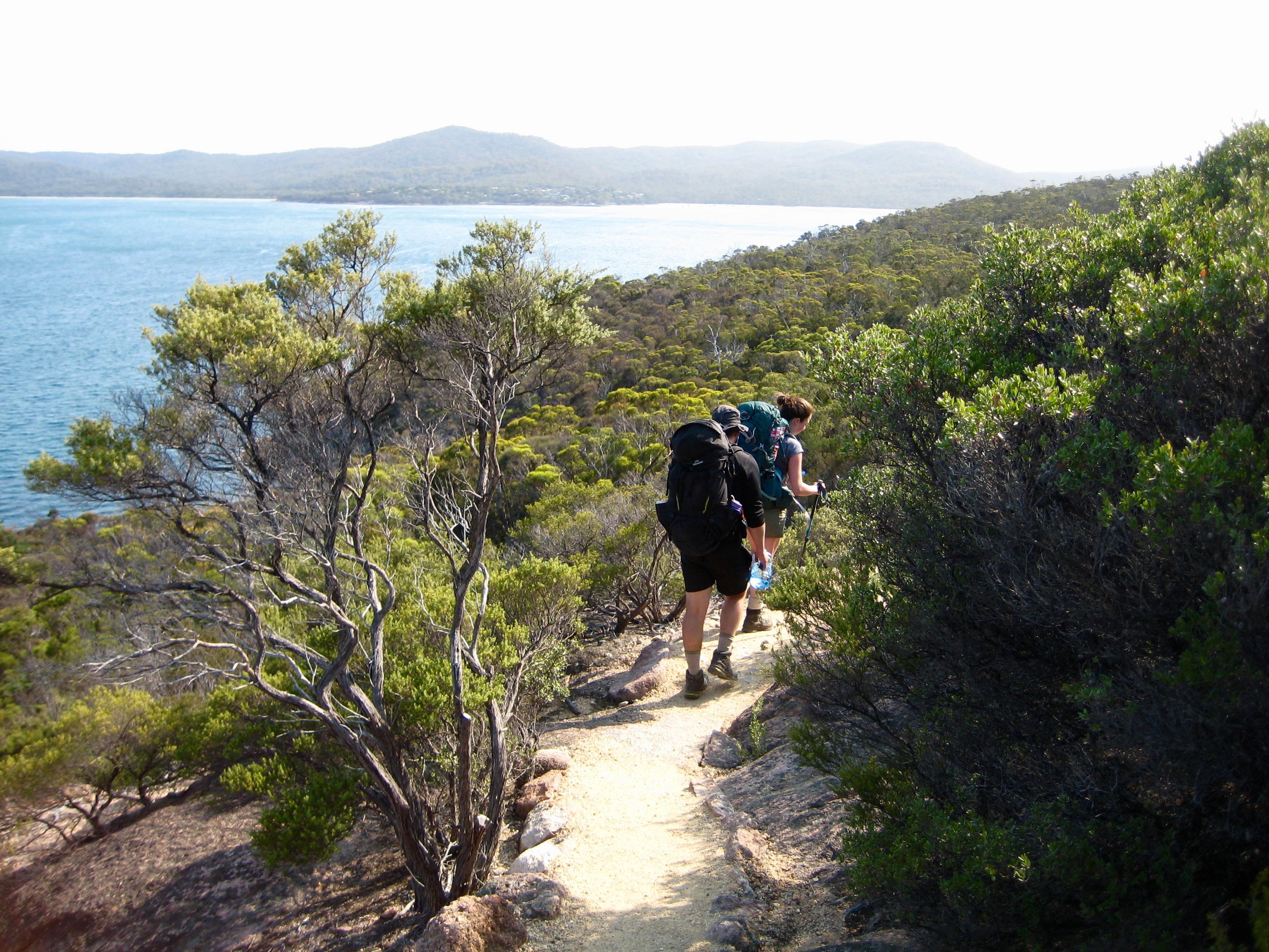 Hikers walking on trail through trees on Fleurieu Point in Tasmania's Freycinet National Park with the ocean and hilltops in the distance