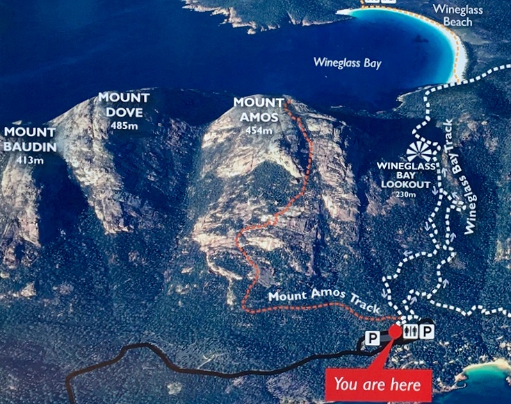 hiking route map of Mt Amos in Tasmania's Freycinet National Park