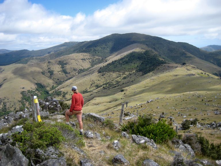A hiker stands on a rocky knob overlooking a broad grassy valley and Mt Sinclair