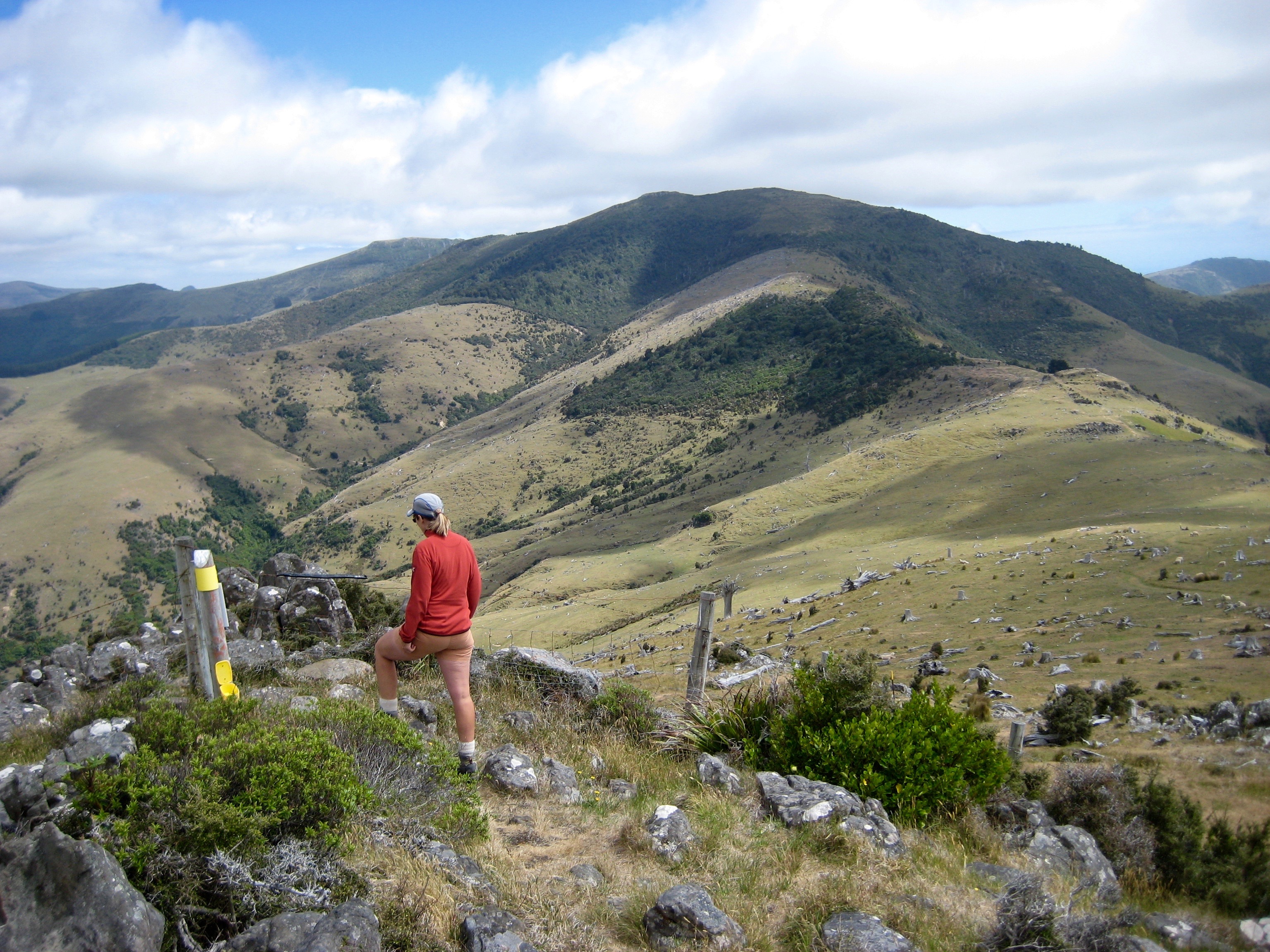 A hiker stands on a rocky knob overlooking a broad grassy valley and Mt Sinclair