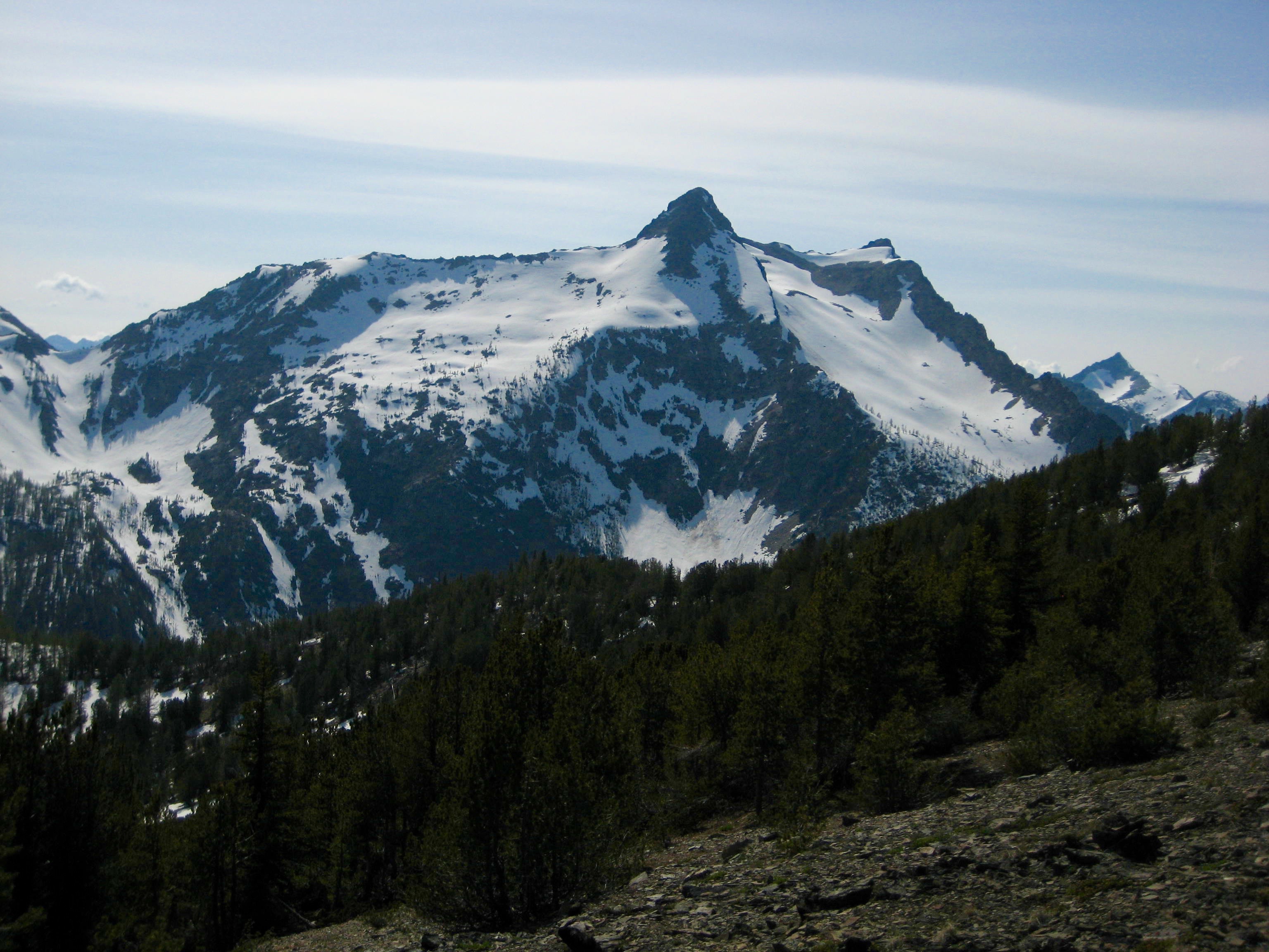 Distant view of snowy Reynolds Peak from Williams Pass on War Creek Ridge