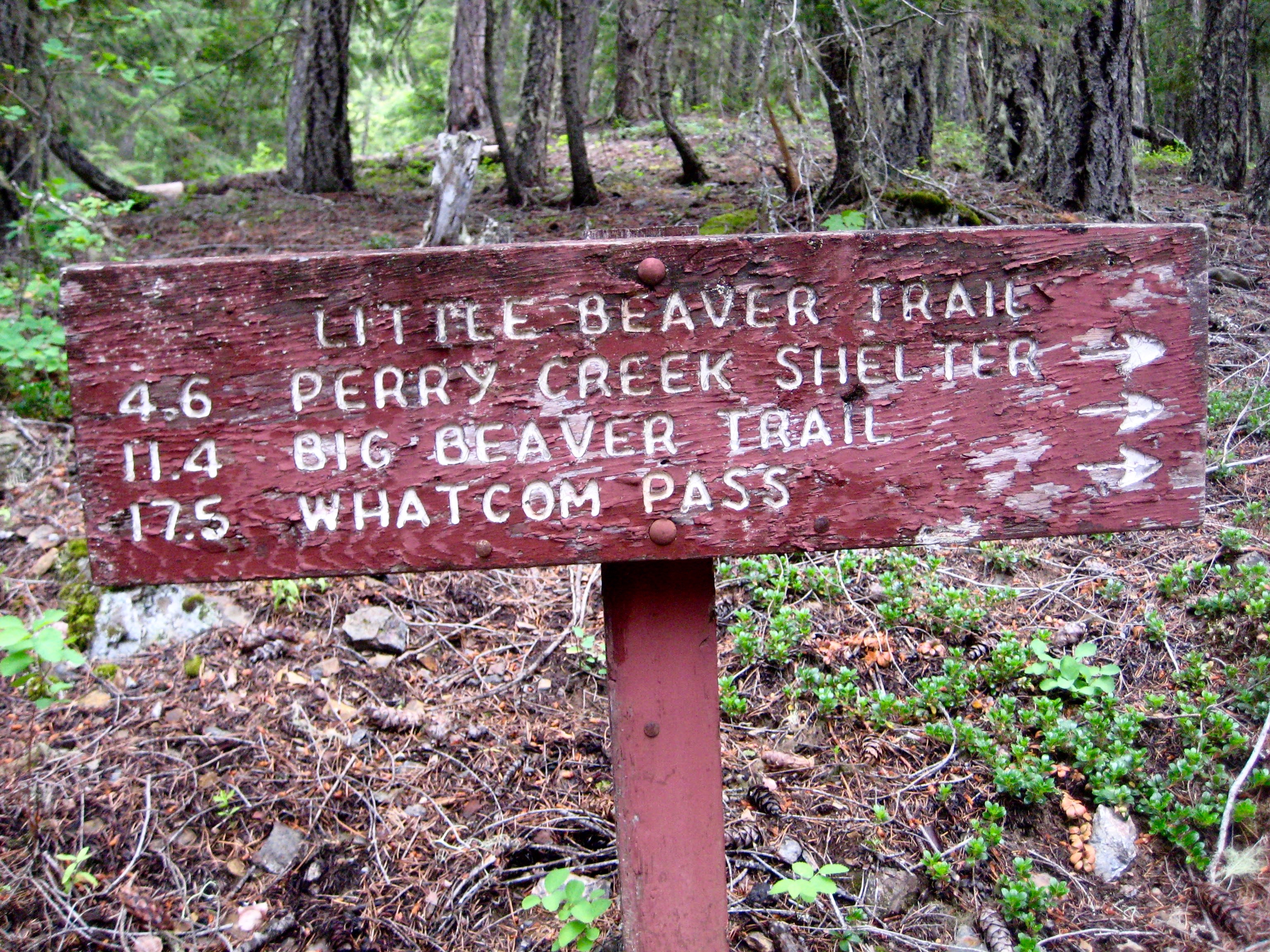 trail sign at the start of the Little Beaver Trail in North Cascades National Park 