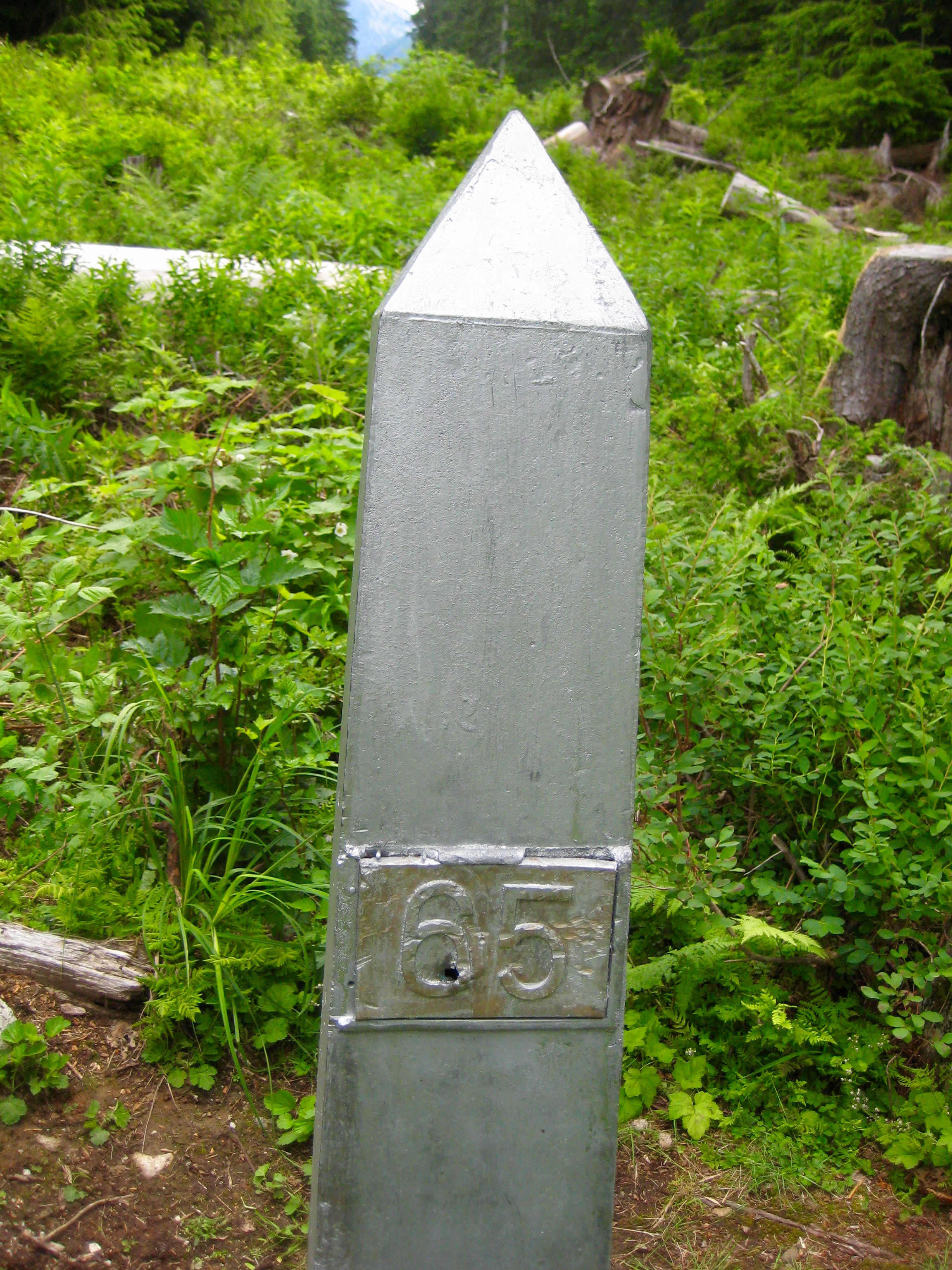 Monument 65 Obelisk with green ferns