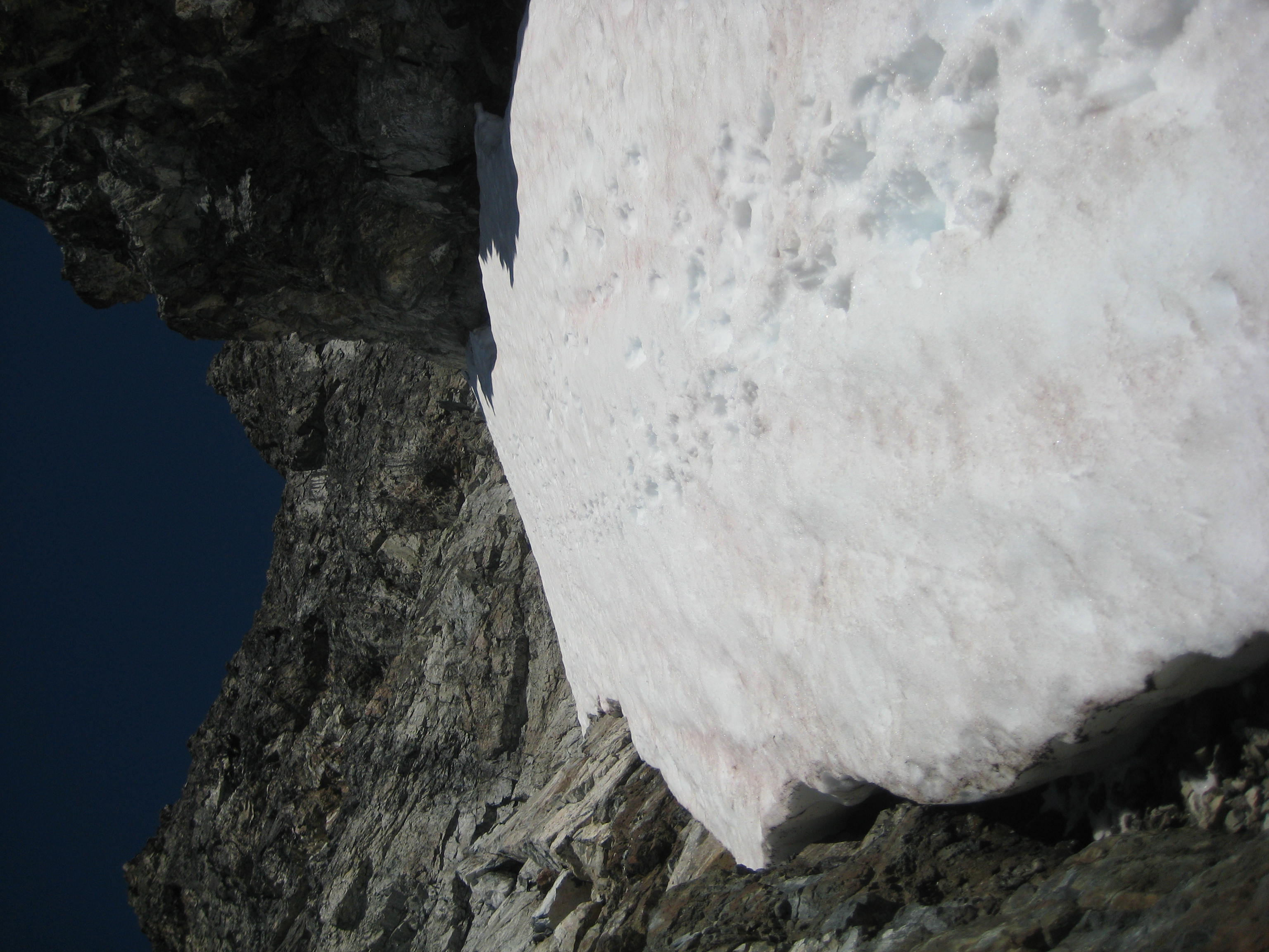 Looking up the snow chute which is surrounded by rock