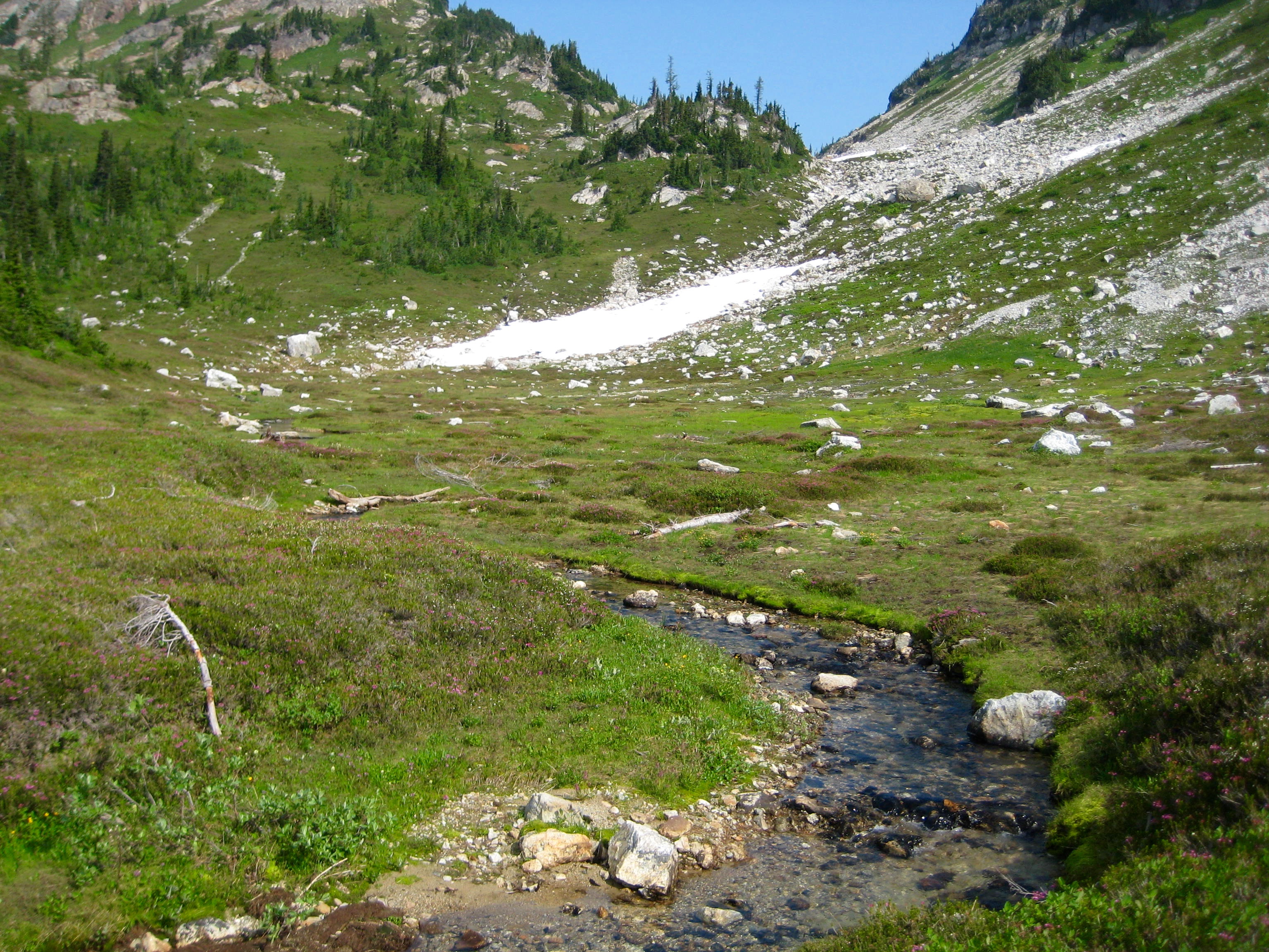 Upper Park Creek Meadow with linguring snow patch enroute to Mt Logan