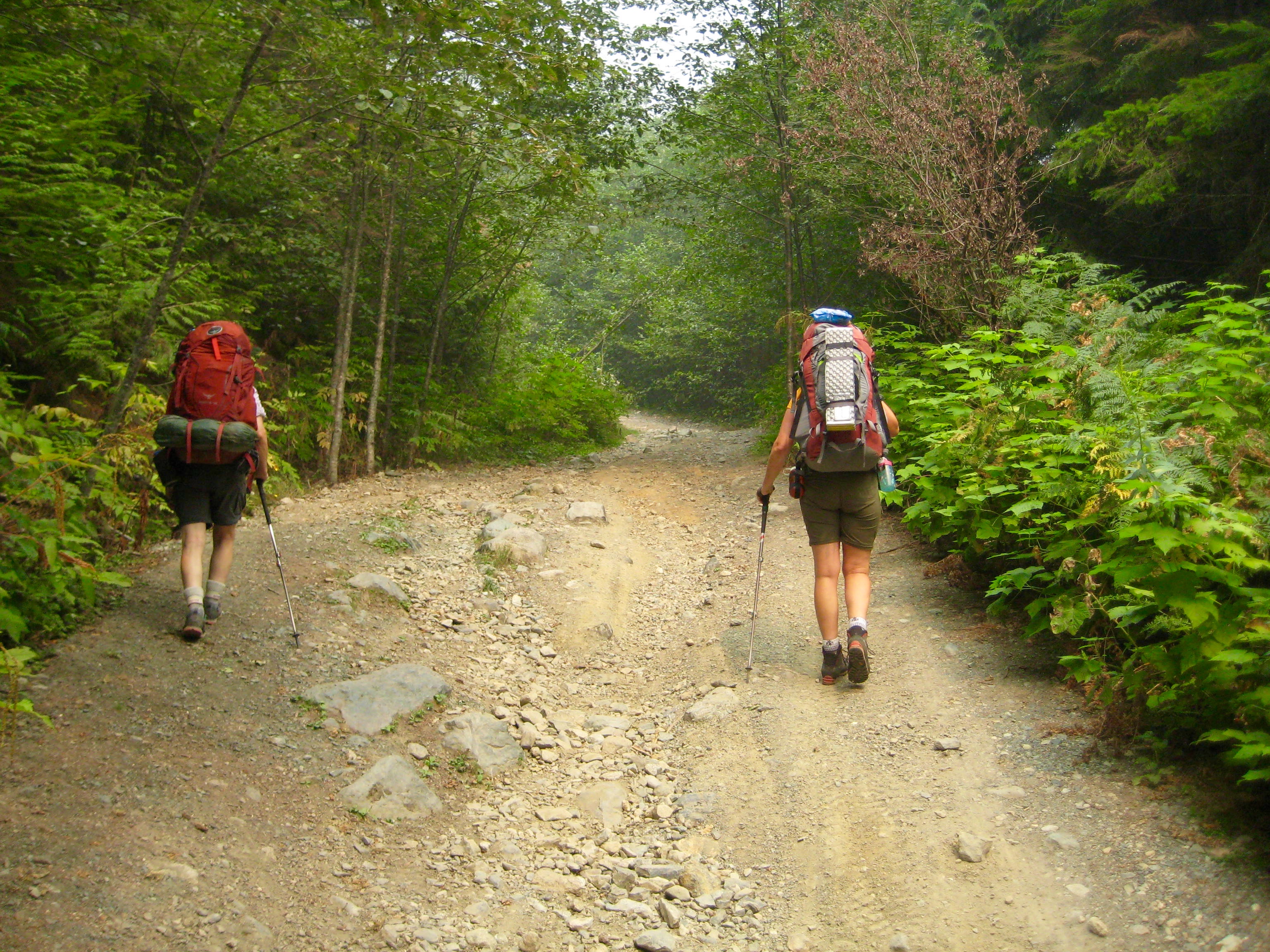 mountain climbers hiking up Airplane Creek Road in the Cheam Range with greenery and large trees lining the banks