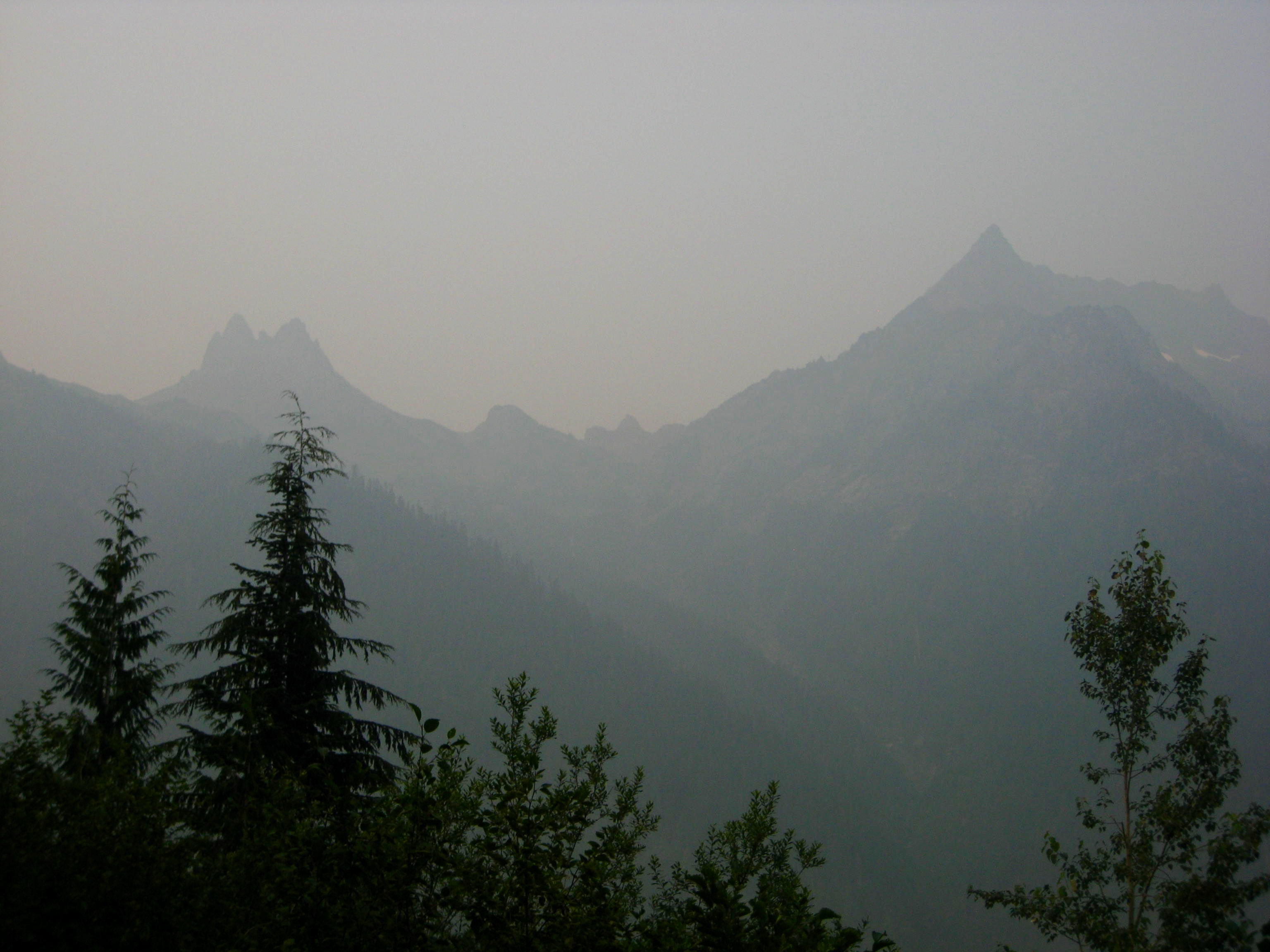 Baby Munday Peak in the CHeam Range and The Still through thick smoke with large evergreen trees in the foreground