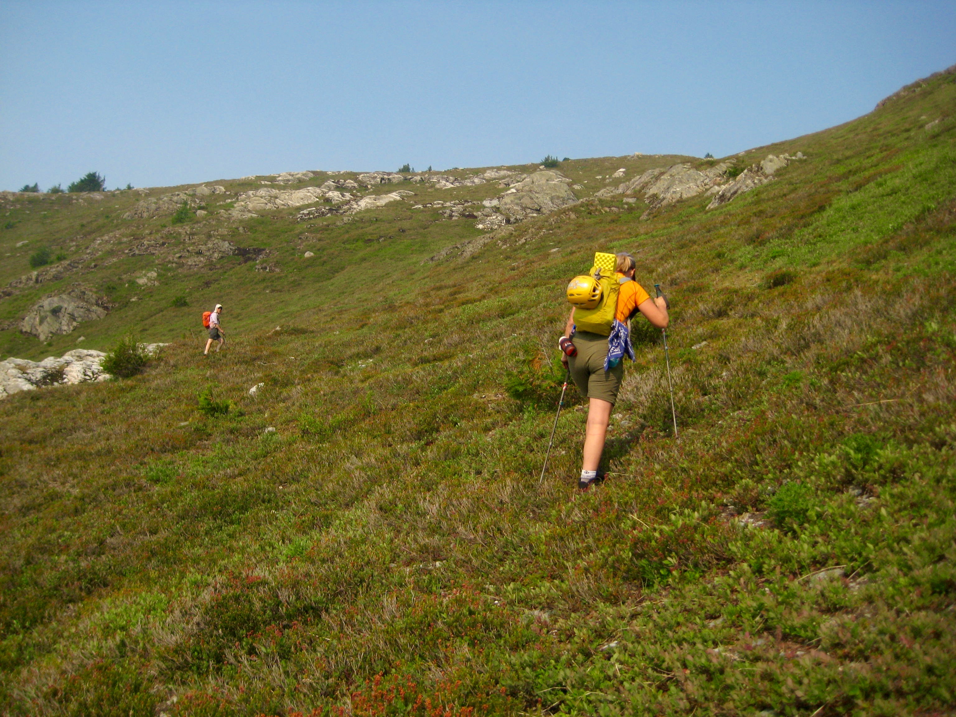 mountain climbers hiking up heather in Knight Creek Basin in the Cheam Range
