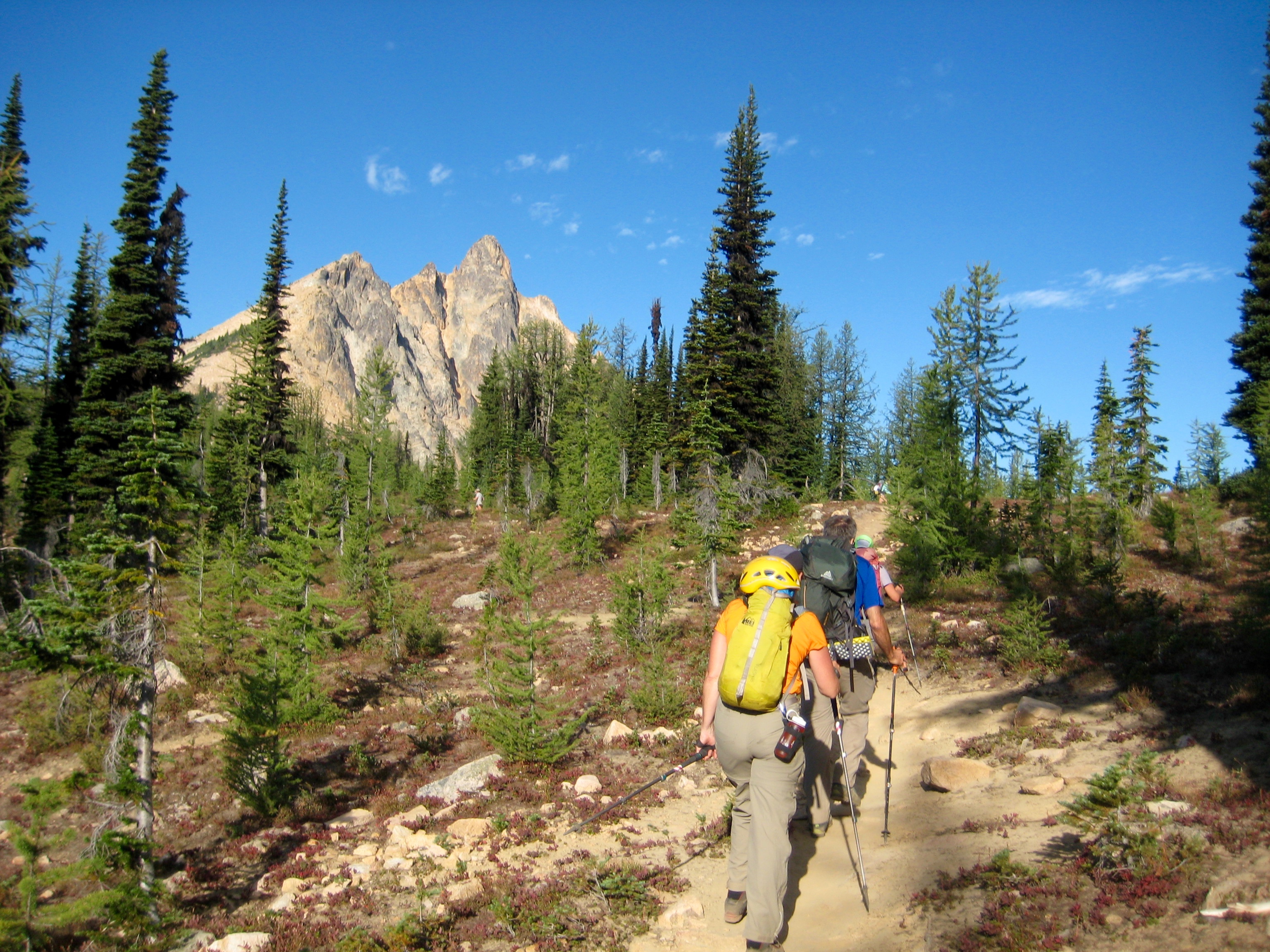 mountain climbers hike along trail through small evergreen trees with rugged Mt Hardy jetting up into the blue sky in the Upper Methow Mountains