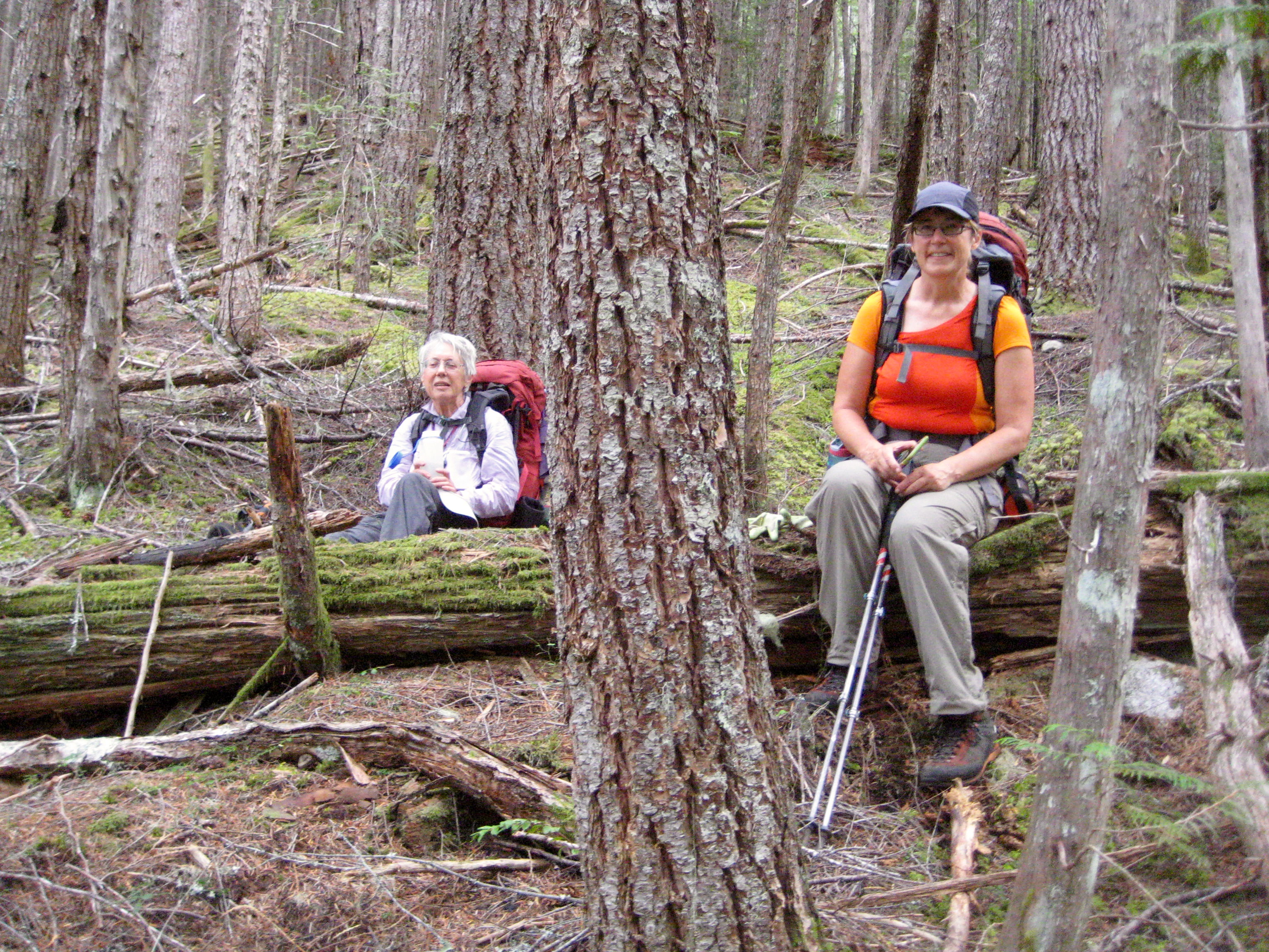 mountain climbers taking a break in the open forest near the Chilliwack river in North Cascades National Park