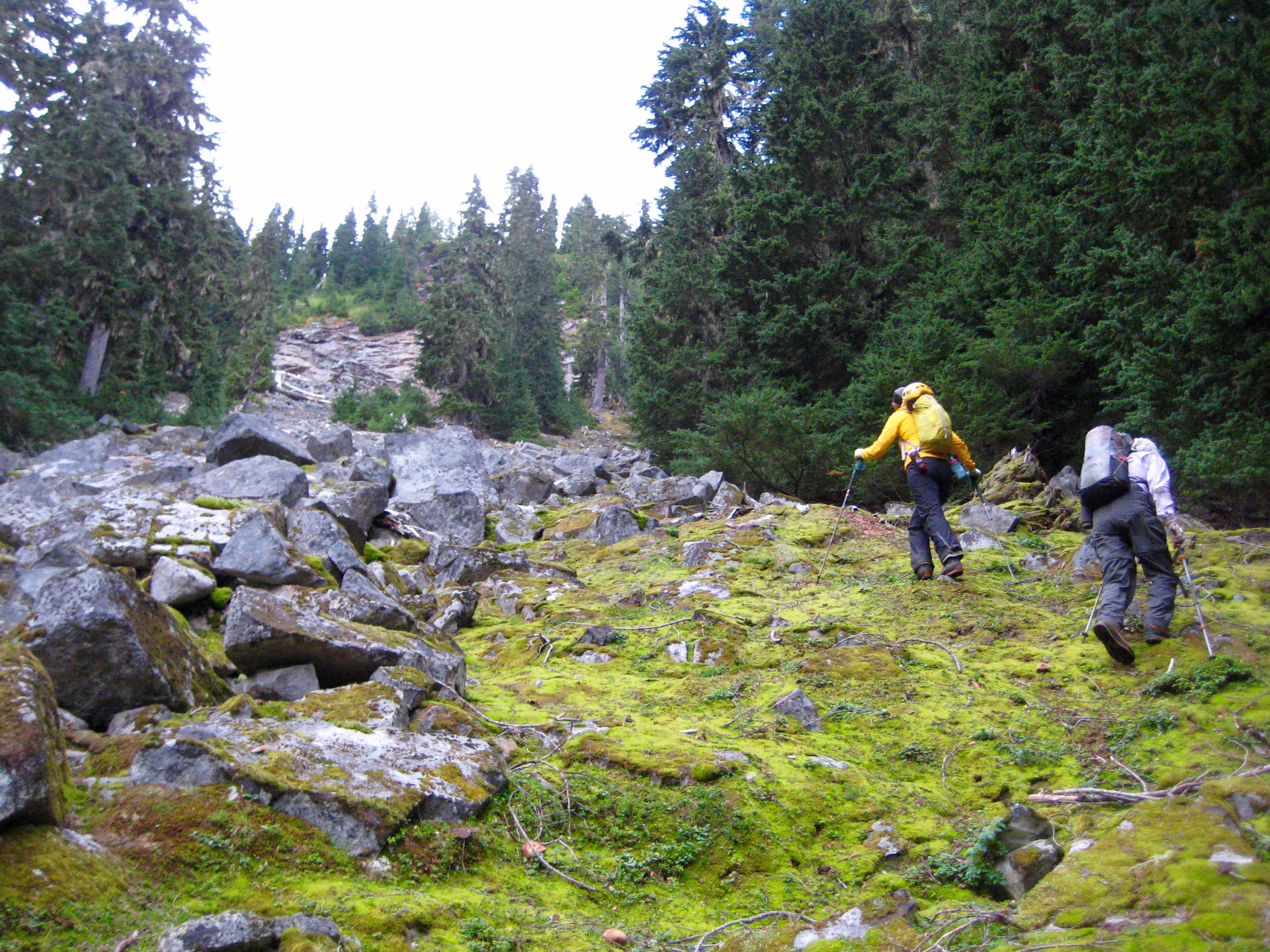 mountain climbers heading up moss covered boulder field surrounded by evergreen treees on the shoulder of Bear Mountain in the American Chilliwacks