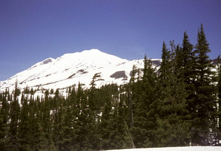 Looking up at the snowy cone of Mt Adams in the southern Cascades