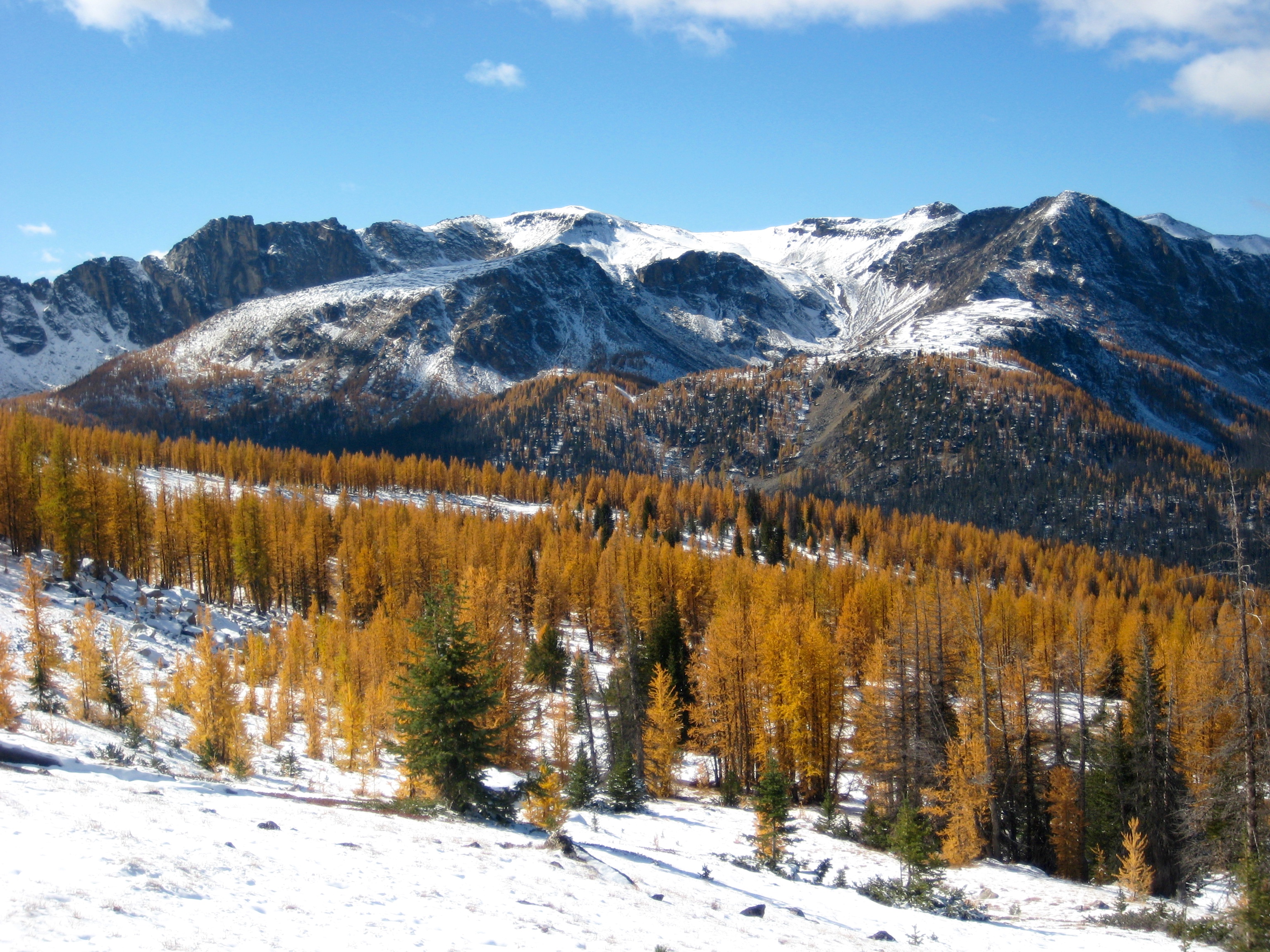Cathedral Rim in Cathedral Provincial Park BC with snow patches and golden larch trees as seen from Lakeview Mountain