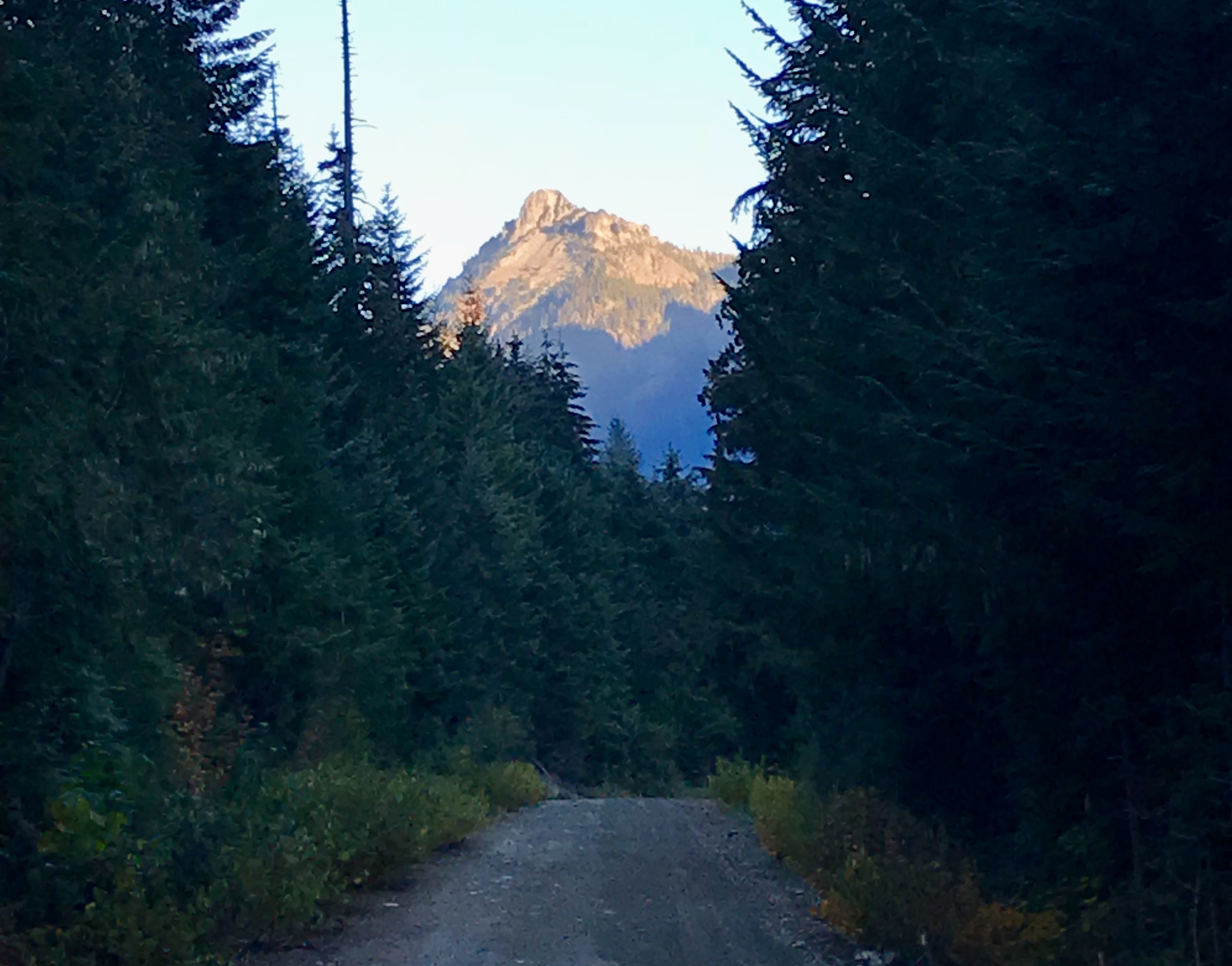 Hibox Peak between evergreen trees with Access Road in the Snoqualmie Mountains