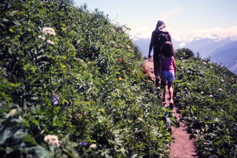 Two hikers walk up a trail on a flowery hillslope